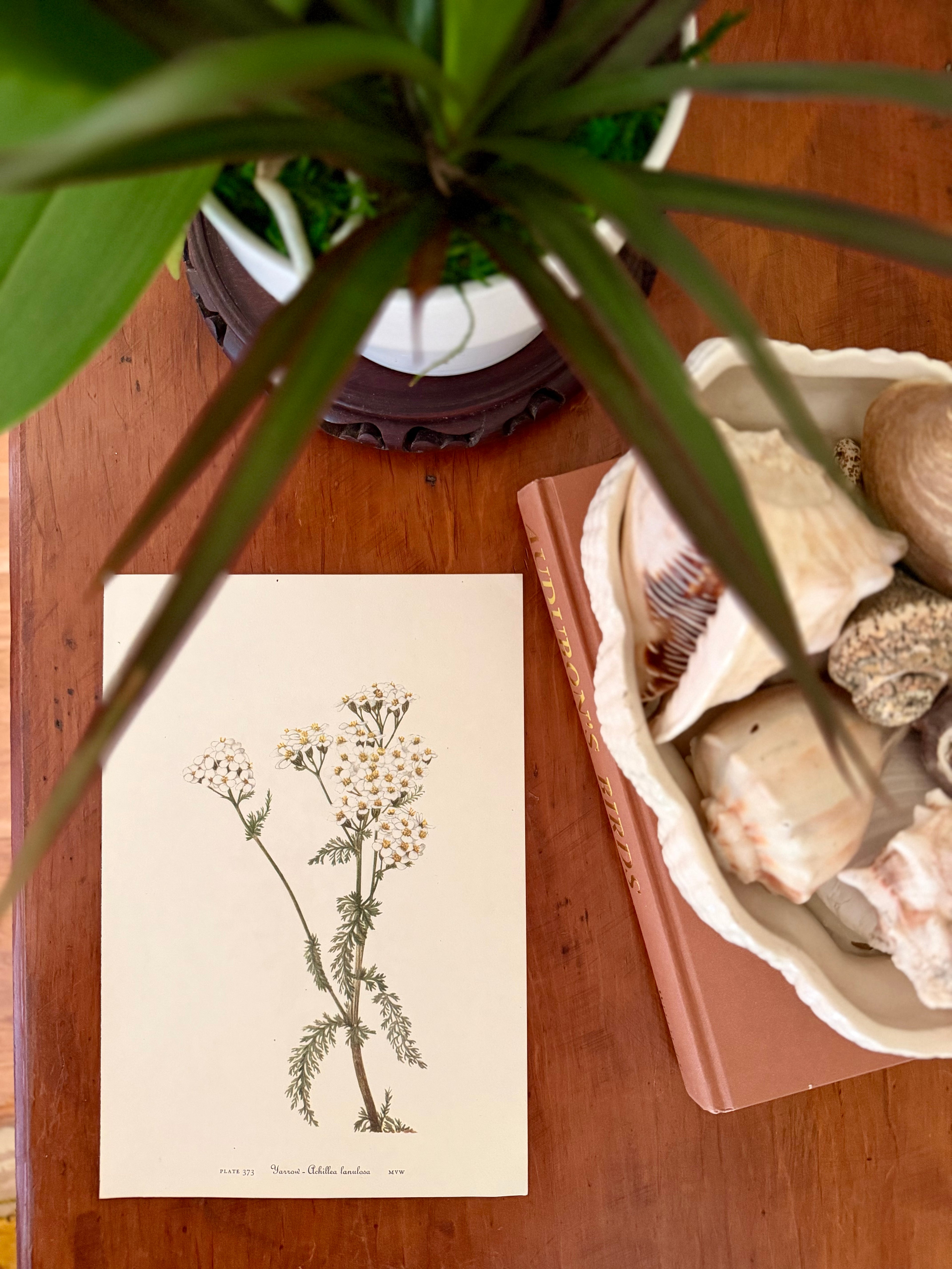 Two Sided Floral Plate