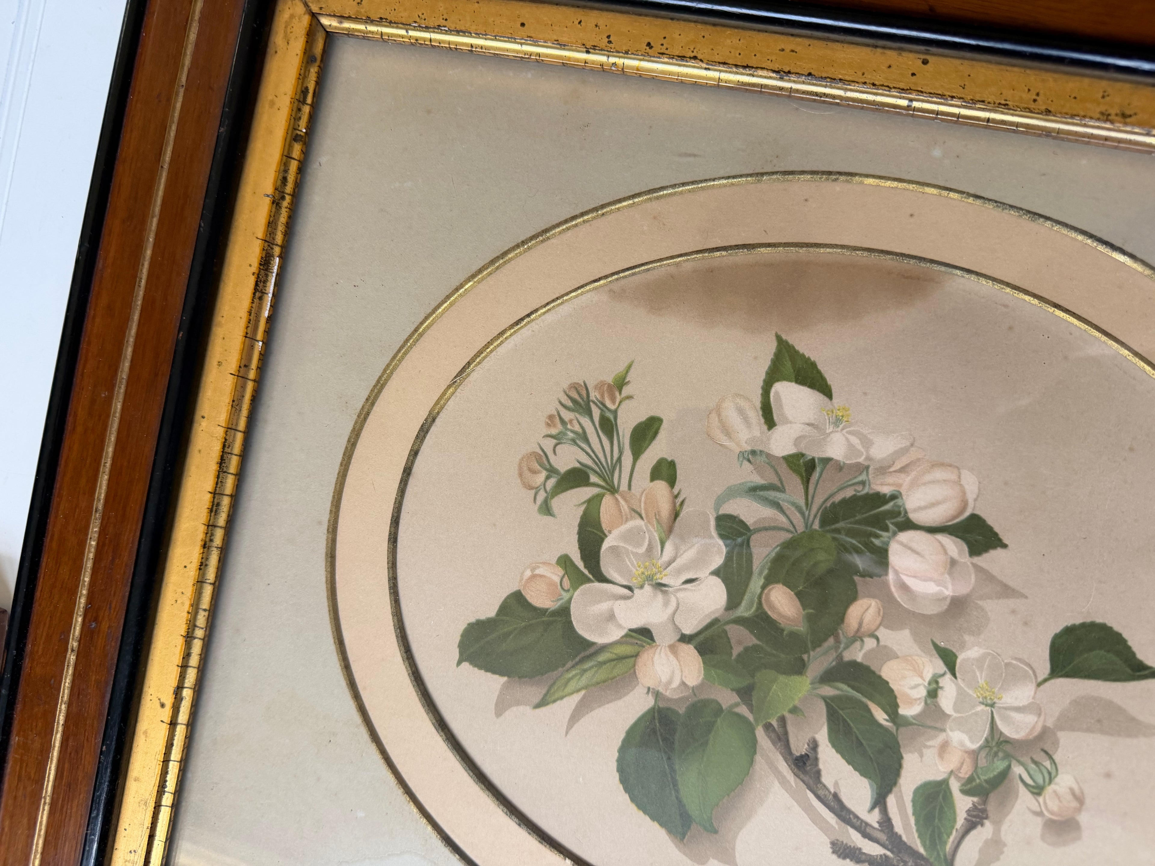 Floral Art in Antique Wood Frames