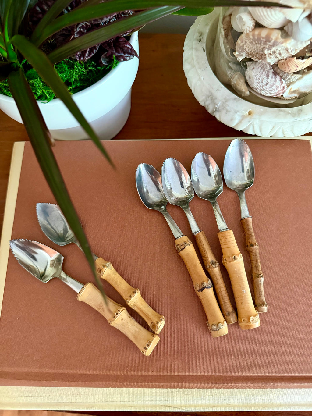 Bamboo Handle Spoons