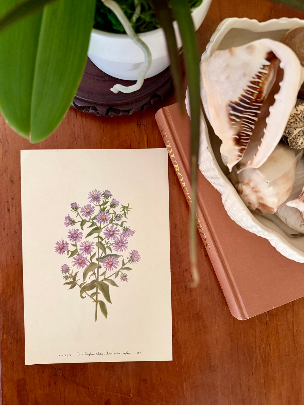 Two Sided Floral Plate