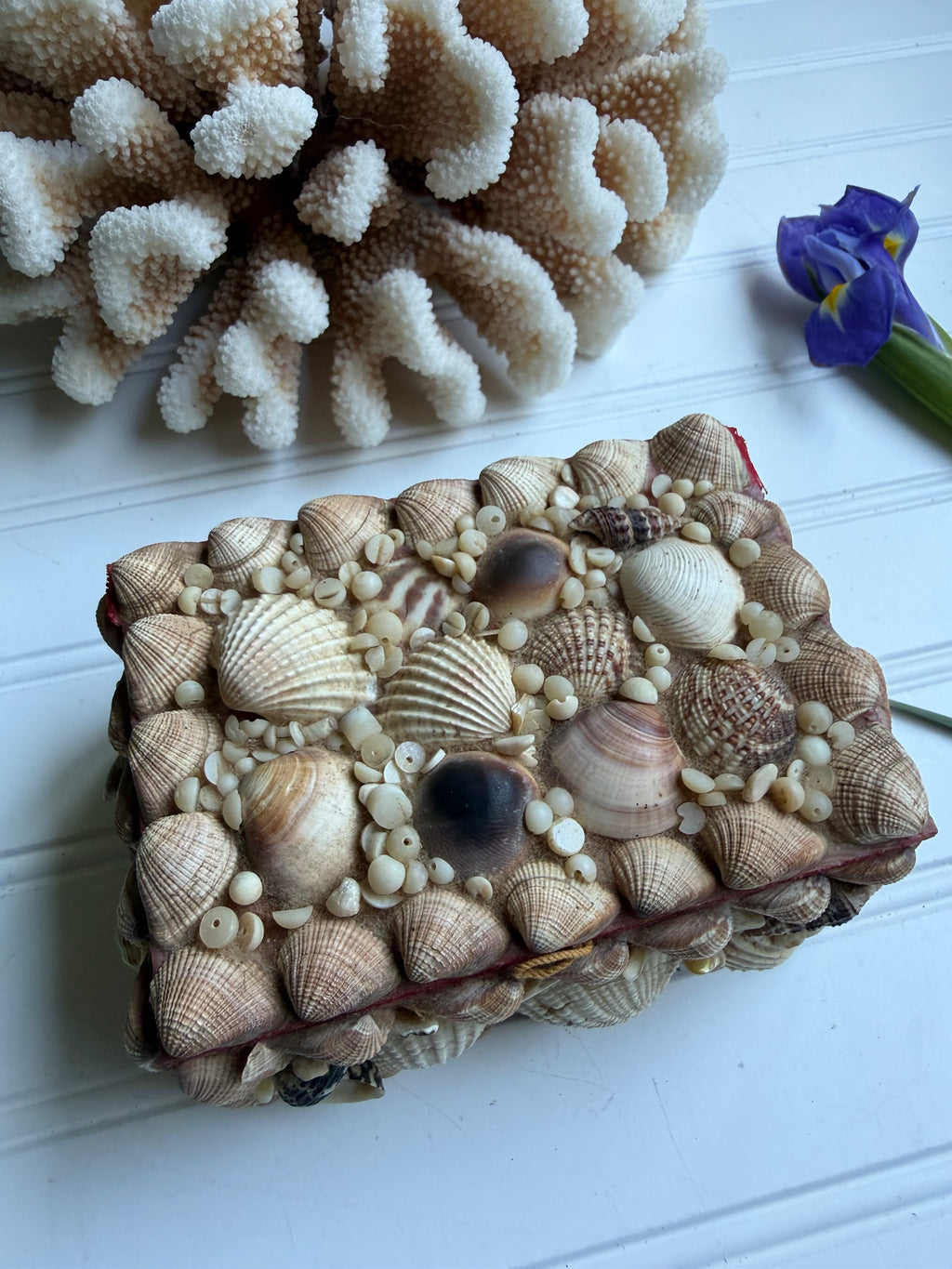 Small Vintage Shell Box