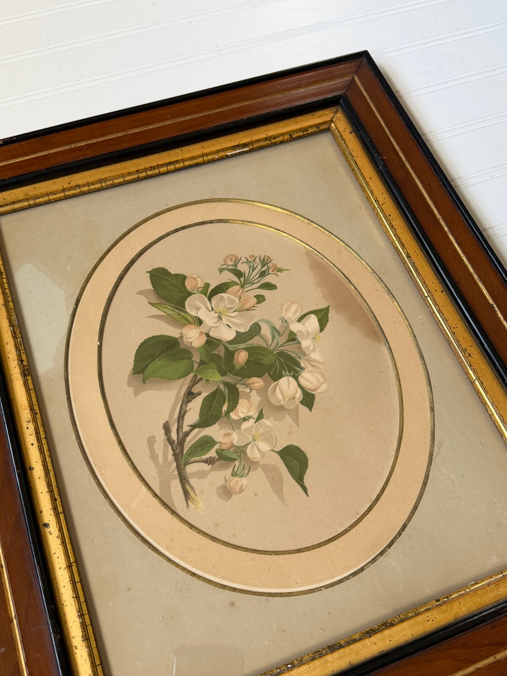 Floral Art in Antique Wood Frames