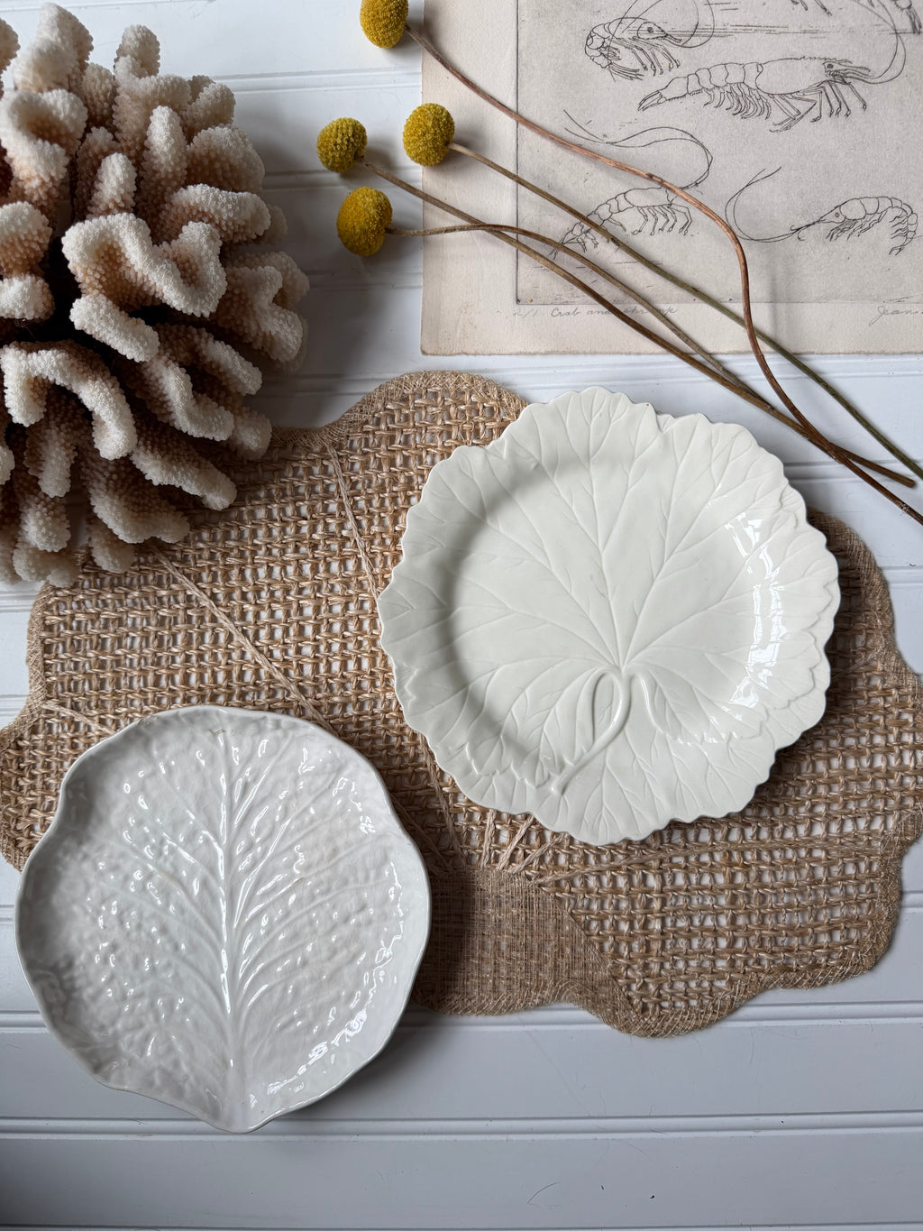 Cabbage Leaf Plate made in Portugal