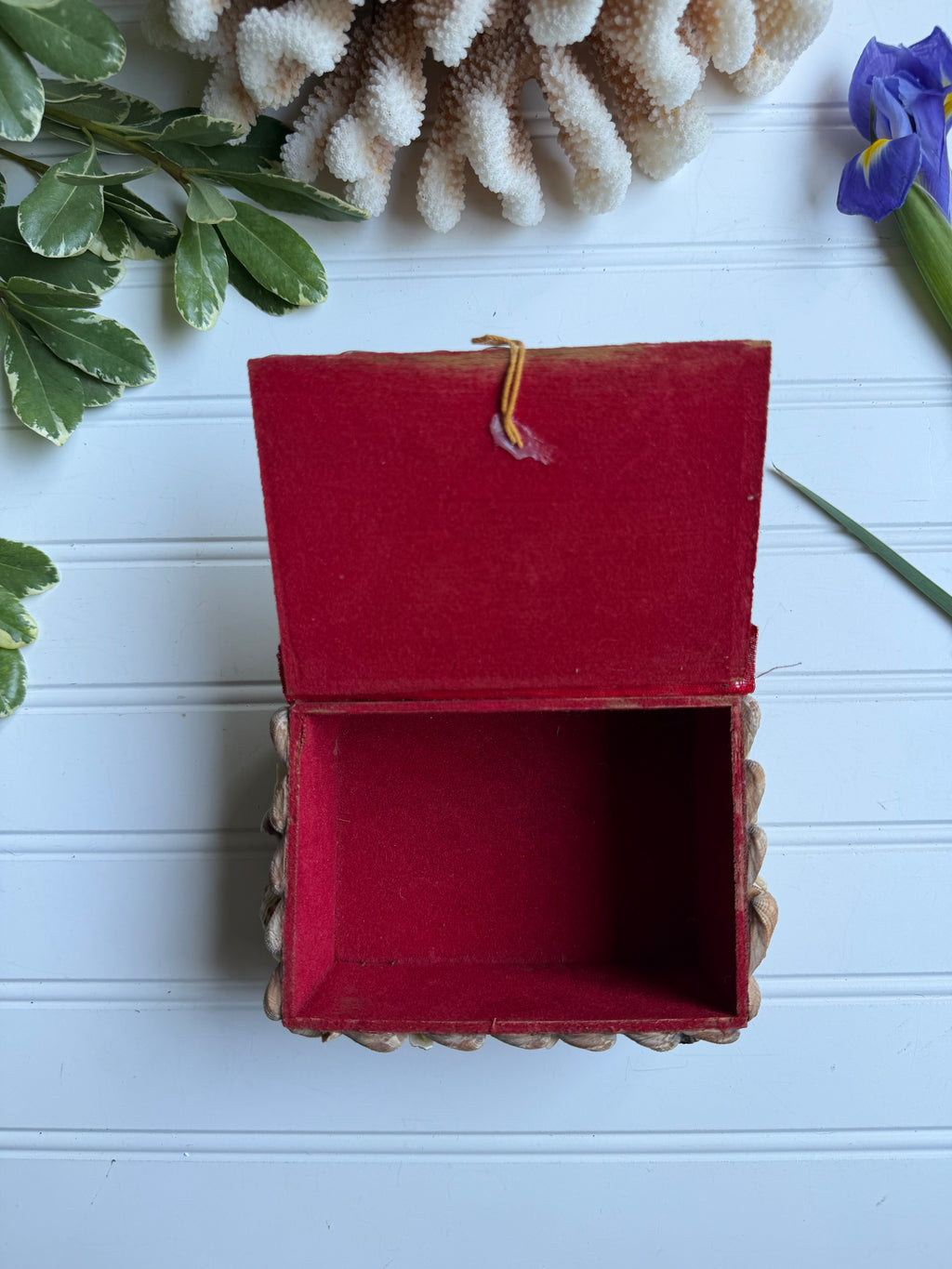 Small Vintage Shell Box
