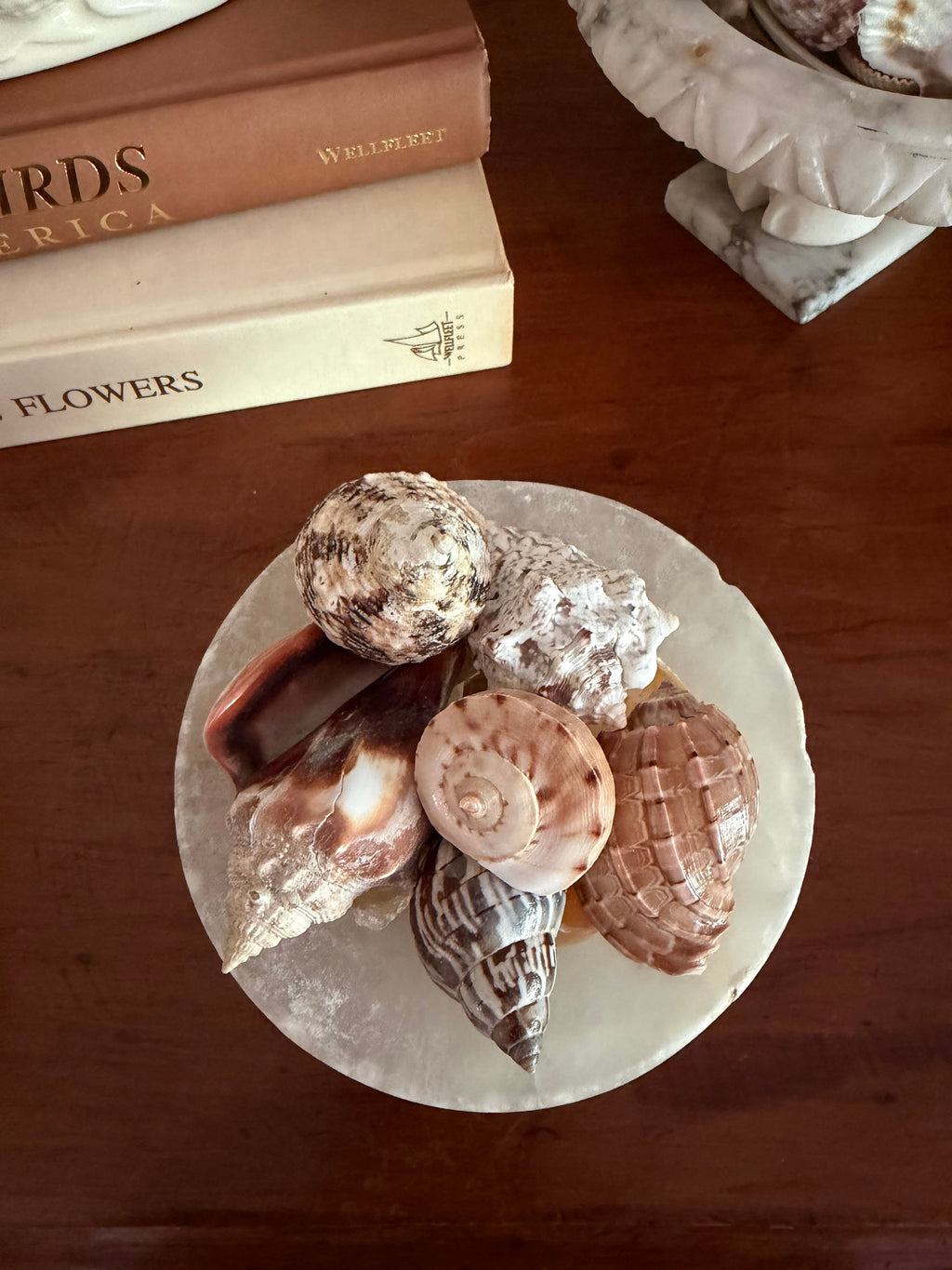 Mini Spanish Alabaster Compote and Shells