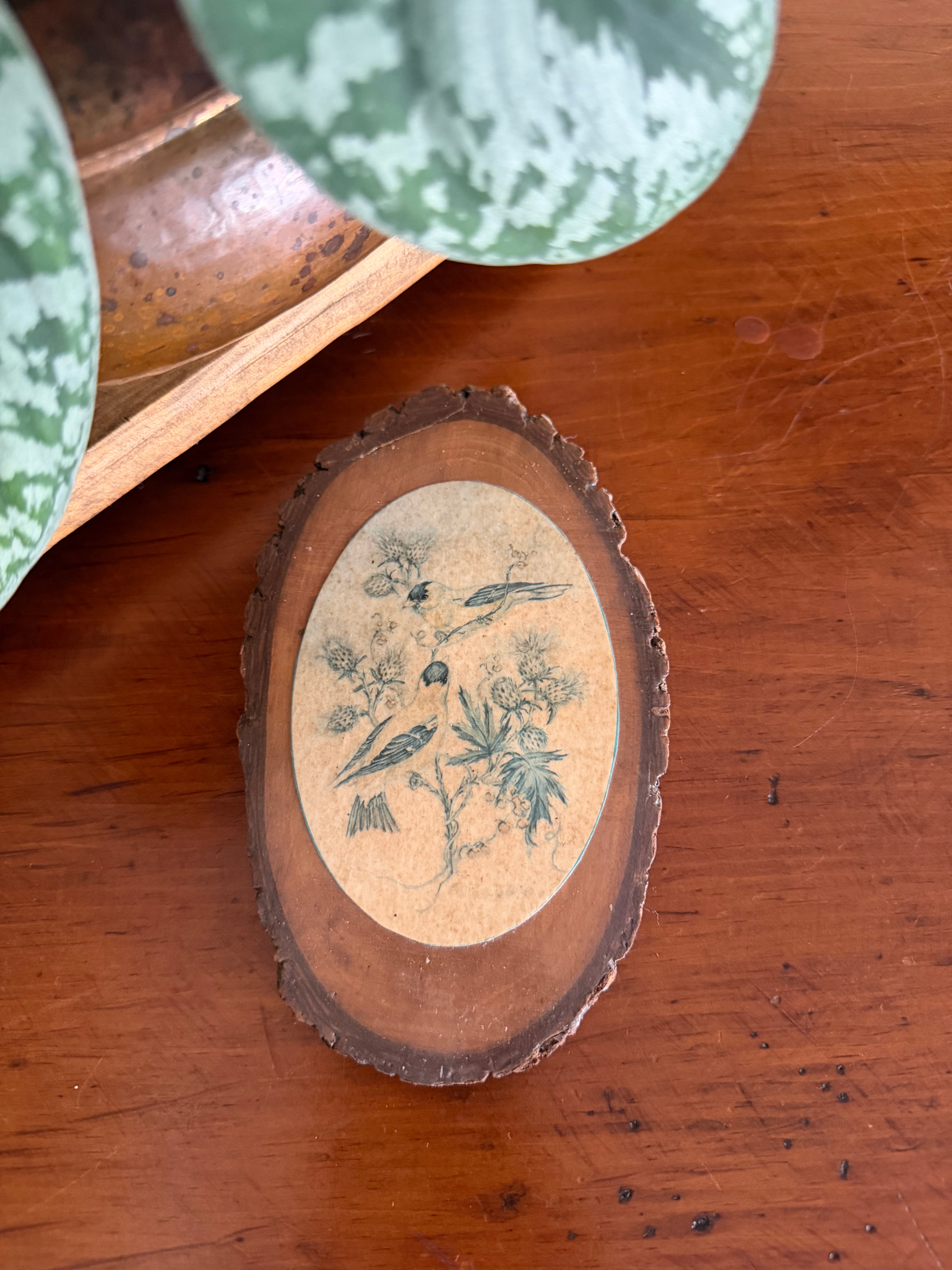Bird Art Backed on Wood