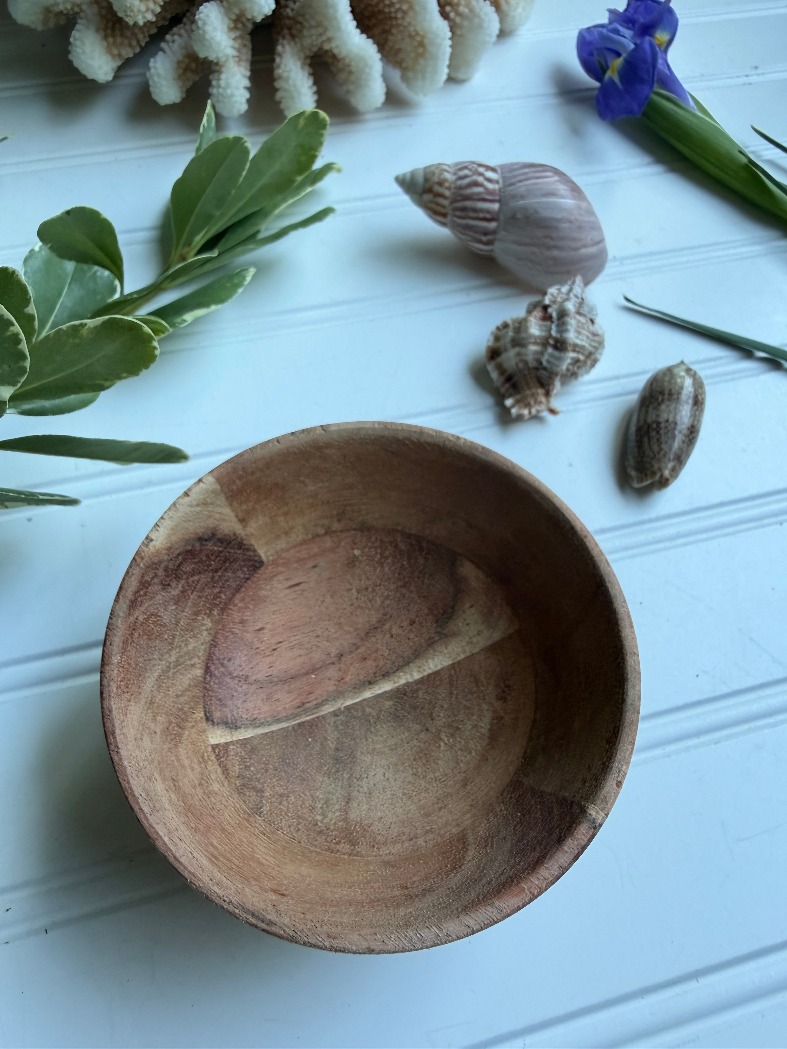 Small Wooden Bowl of Shells 2