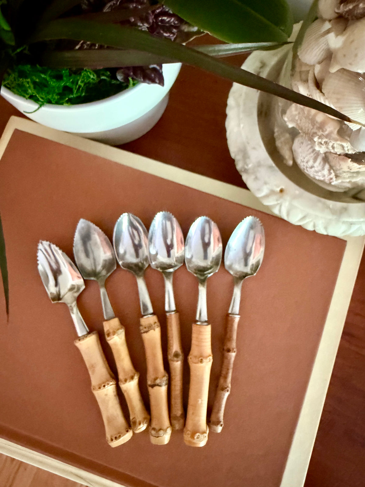 Bamboo Handle Spoons