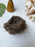 Small Bird Nest