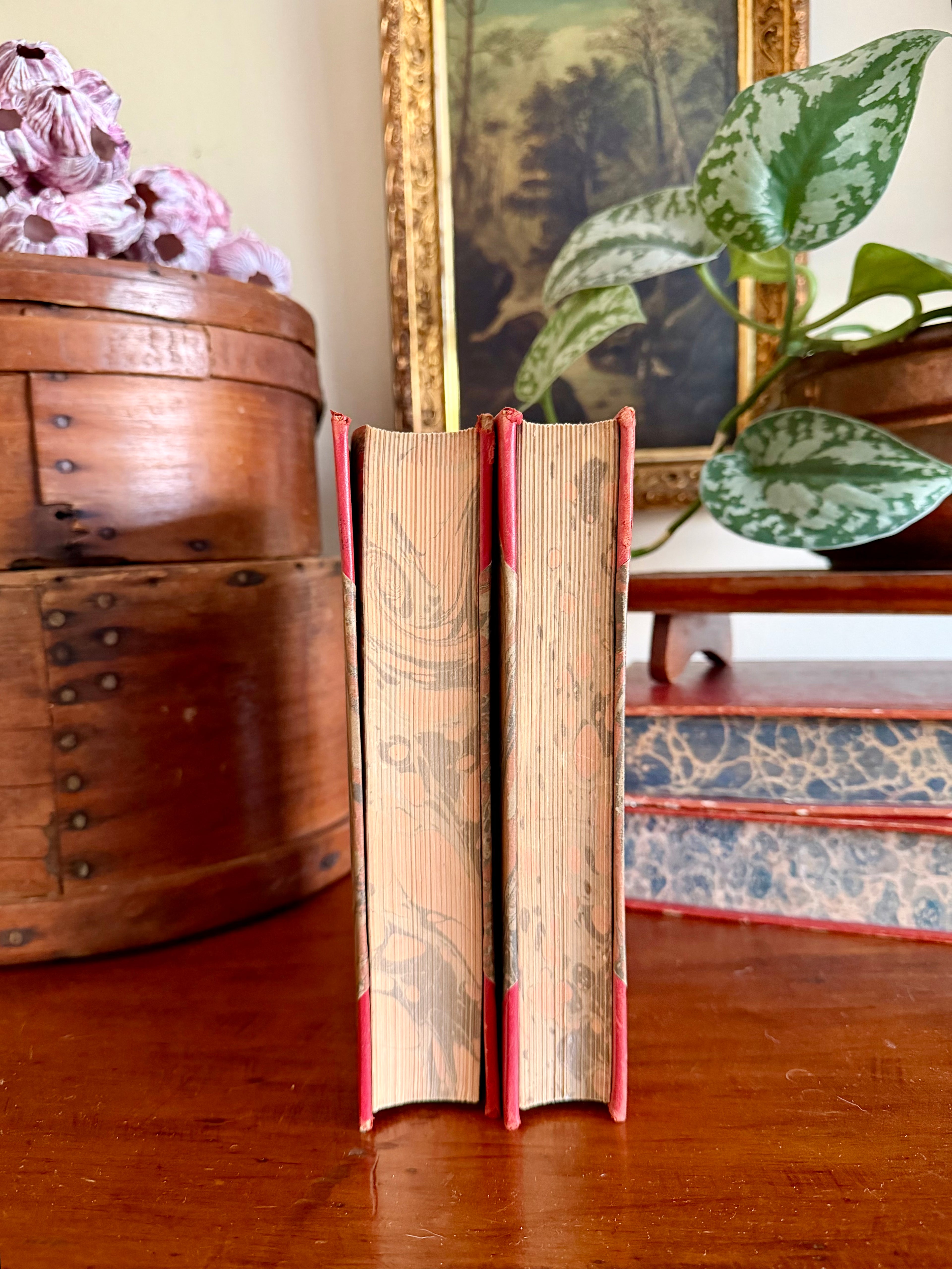 Set of 2 1937 Danish Books