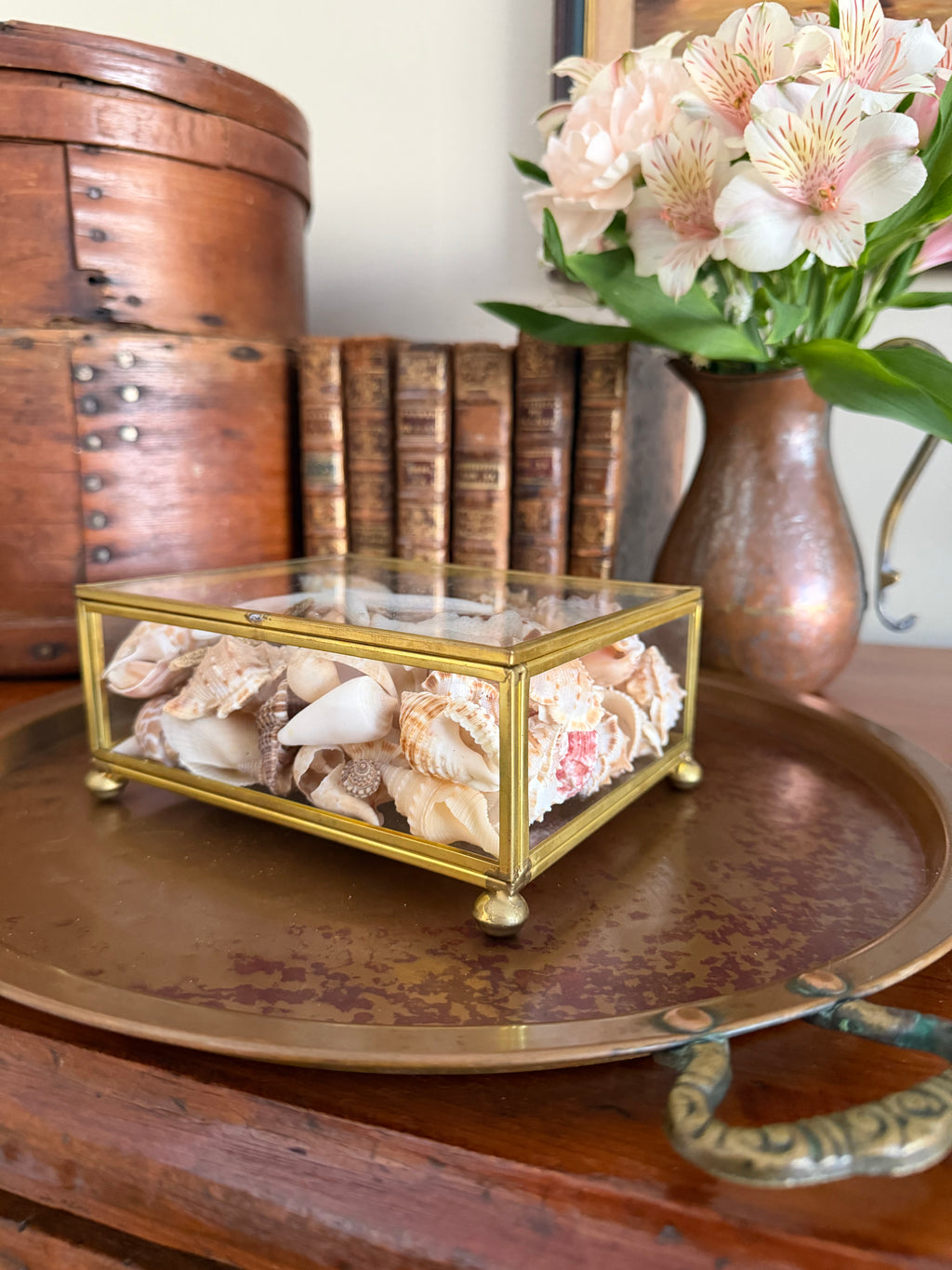 Brass and Glass Box filled with Shells