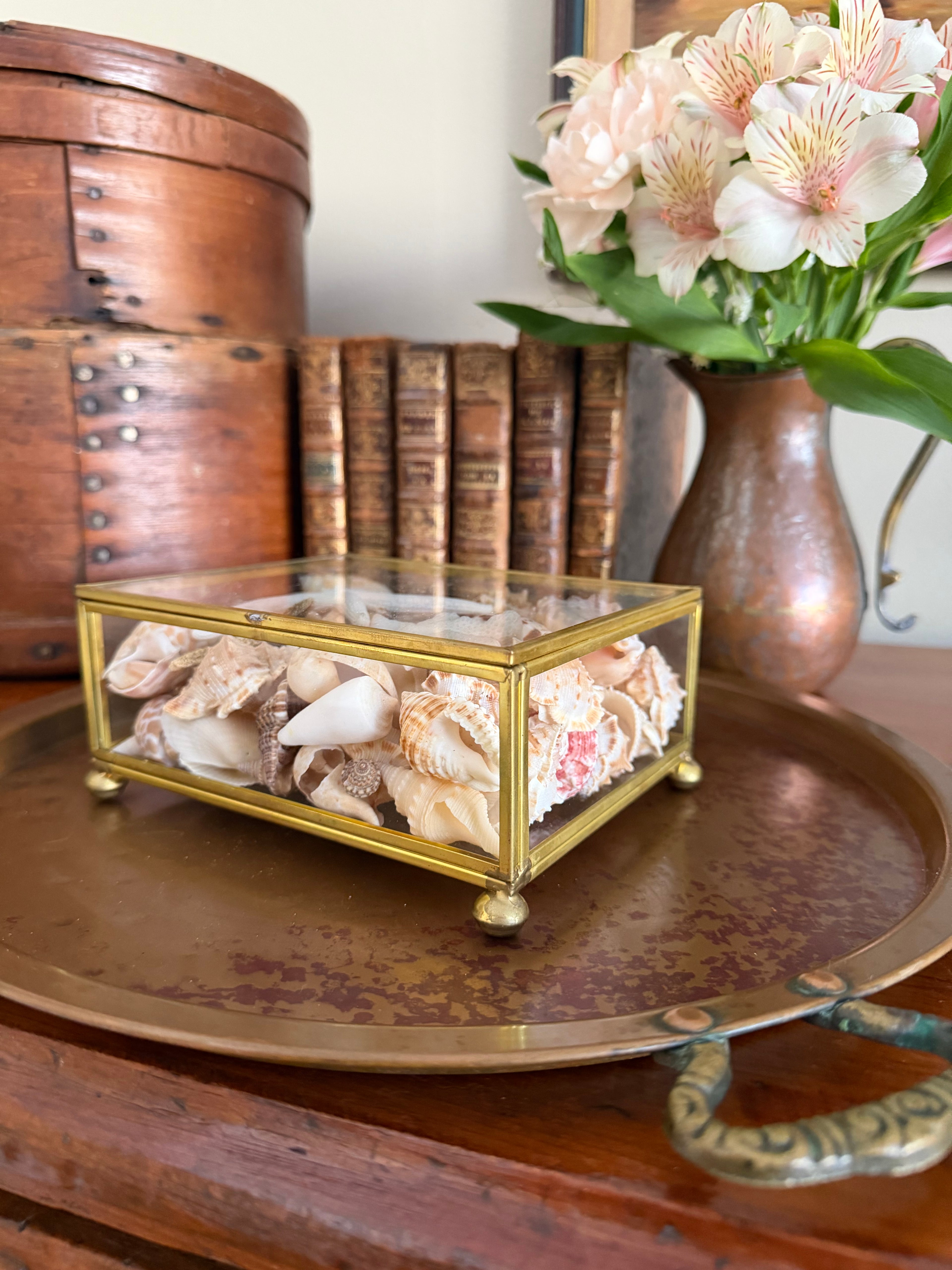 Brass and Glass Box filled with Shells