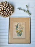 Antique Hand-Colored Botanical Lithograph
