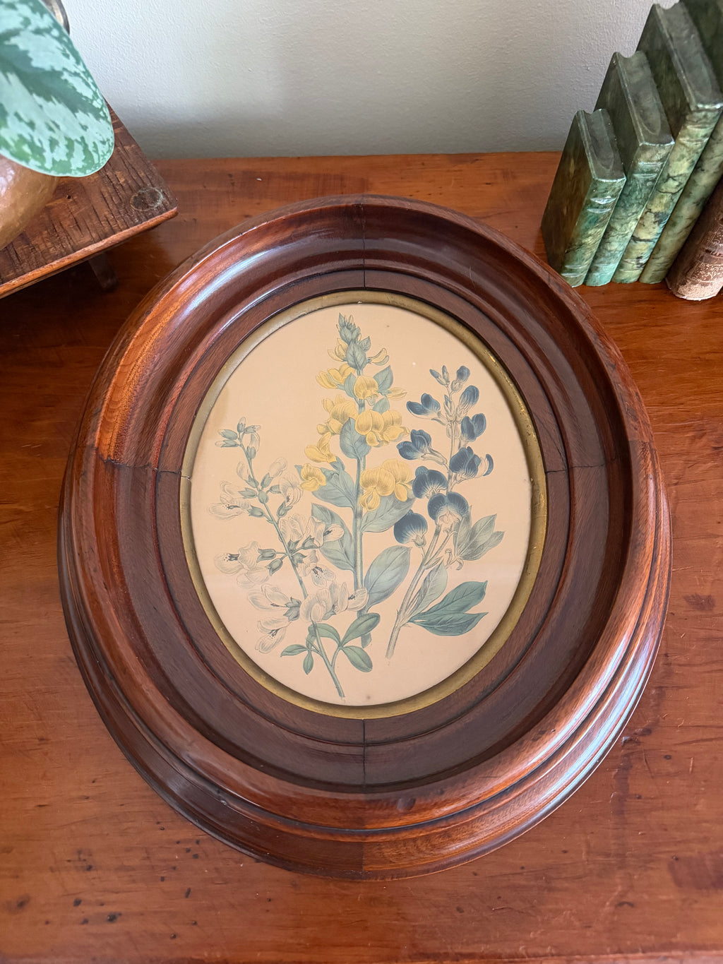 Set of Frames Botanical Art