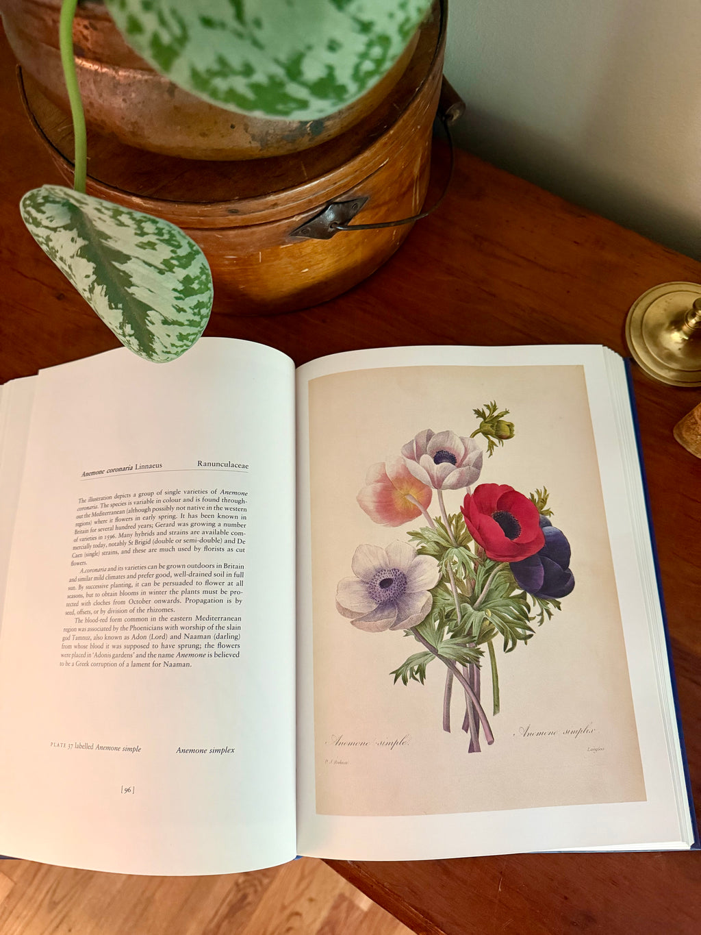 Vintage Book: Redouté's Fairest Flowers (Hardcover)
