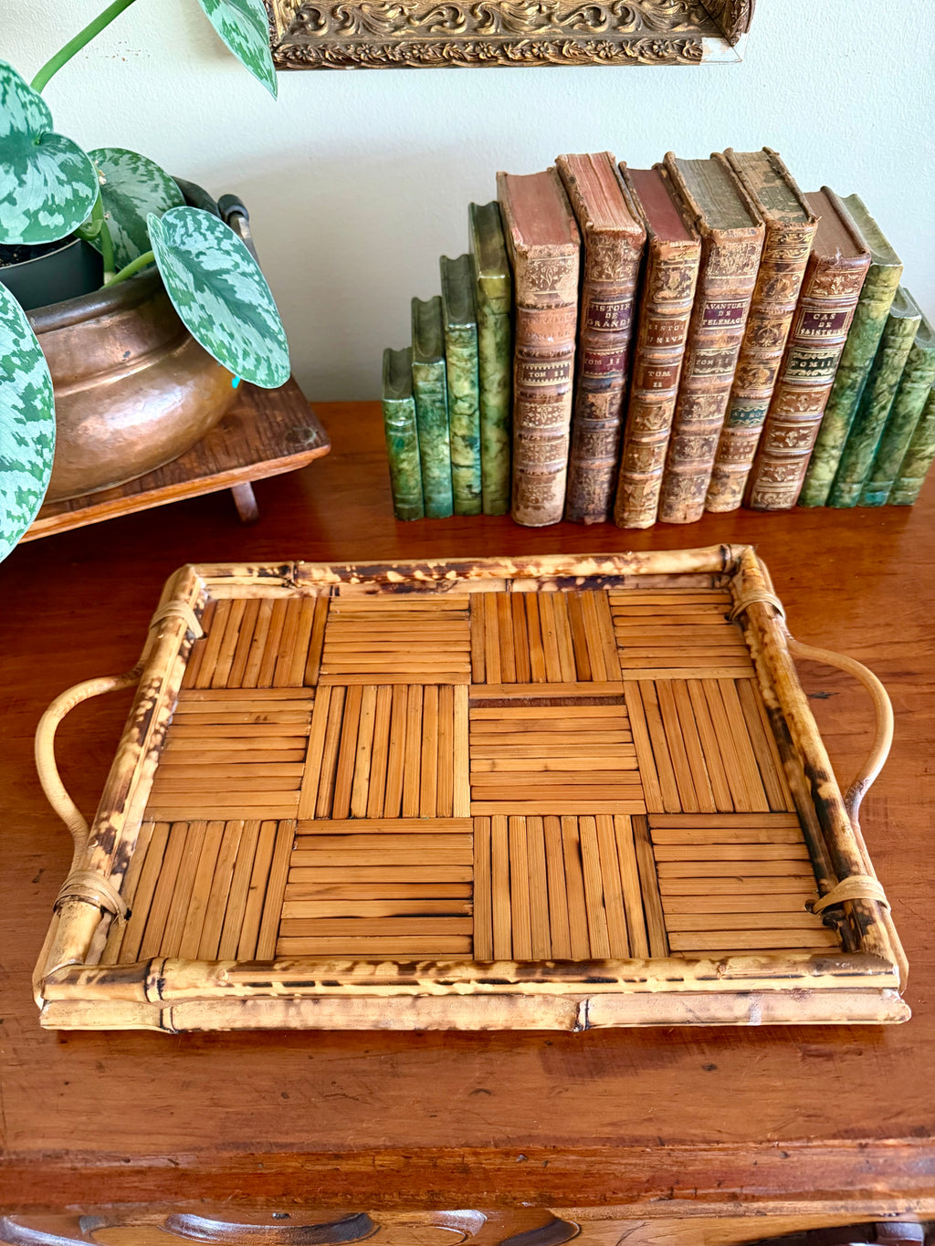 Vintage Tortoise Shell Bamboo Tray