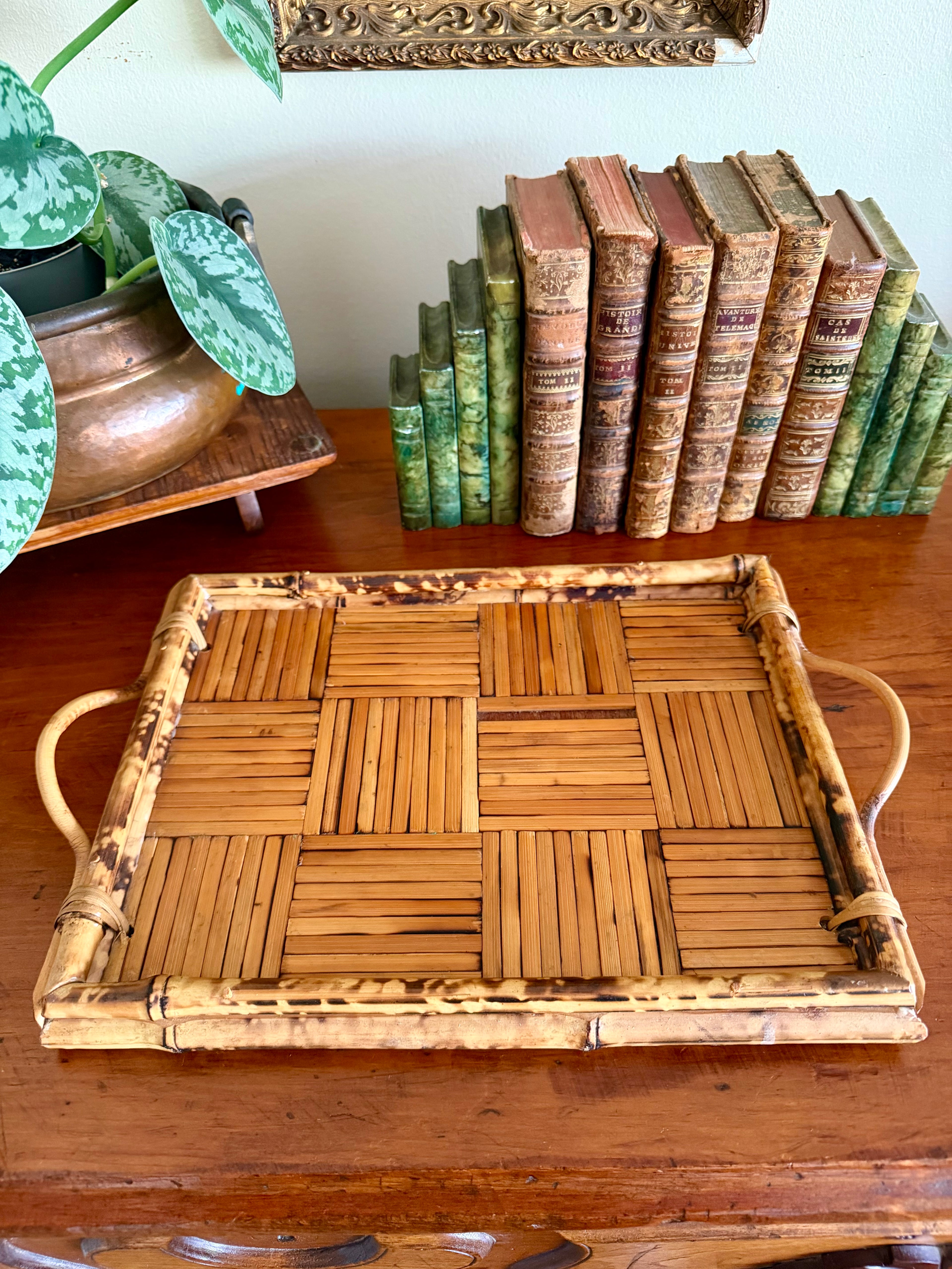 Vintage Tortoise Shell Bamboo Tray