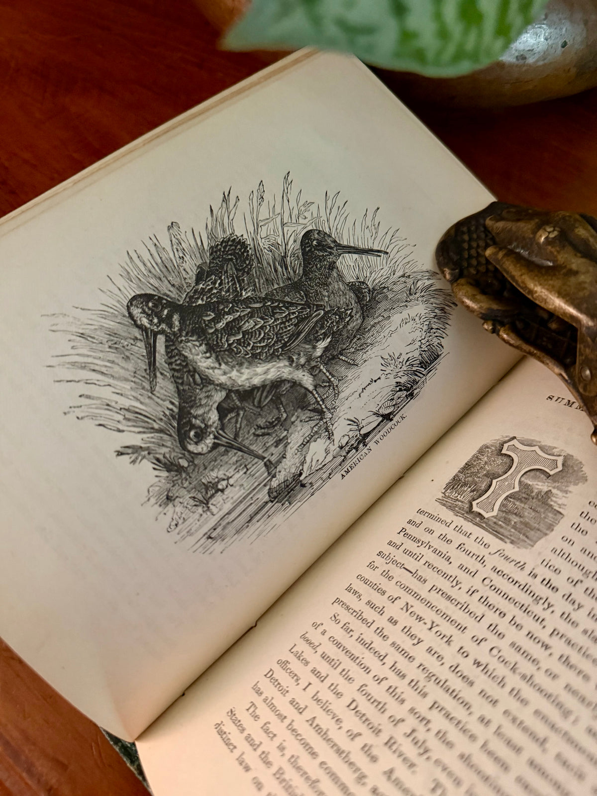 Antique Book: Frank Forest’s Field Sports (1873) Vol 1
