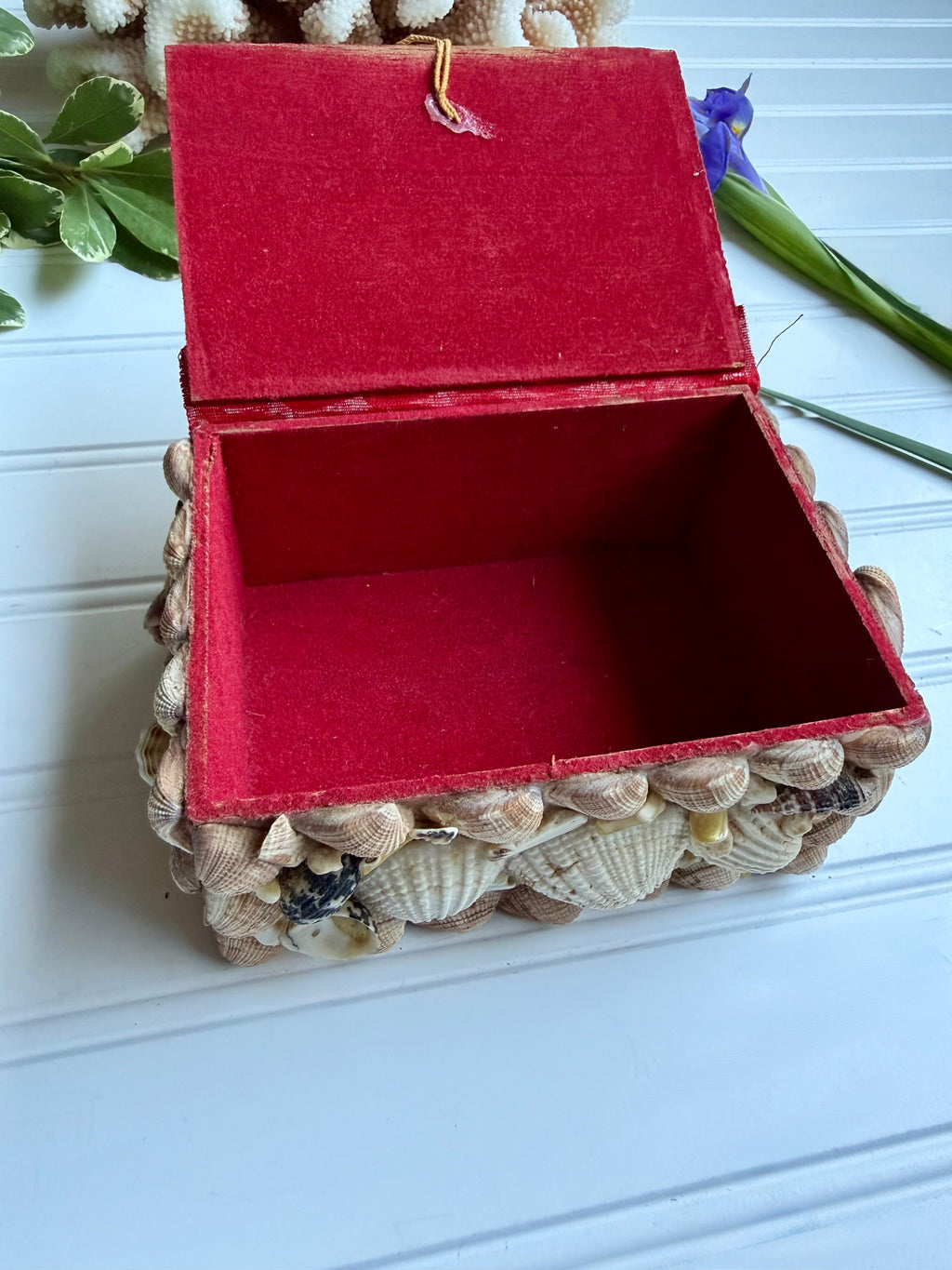 Small Vintage Shell Box