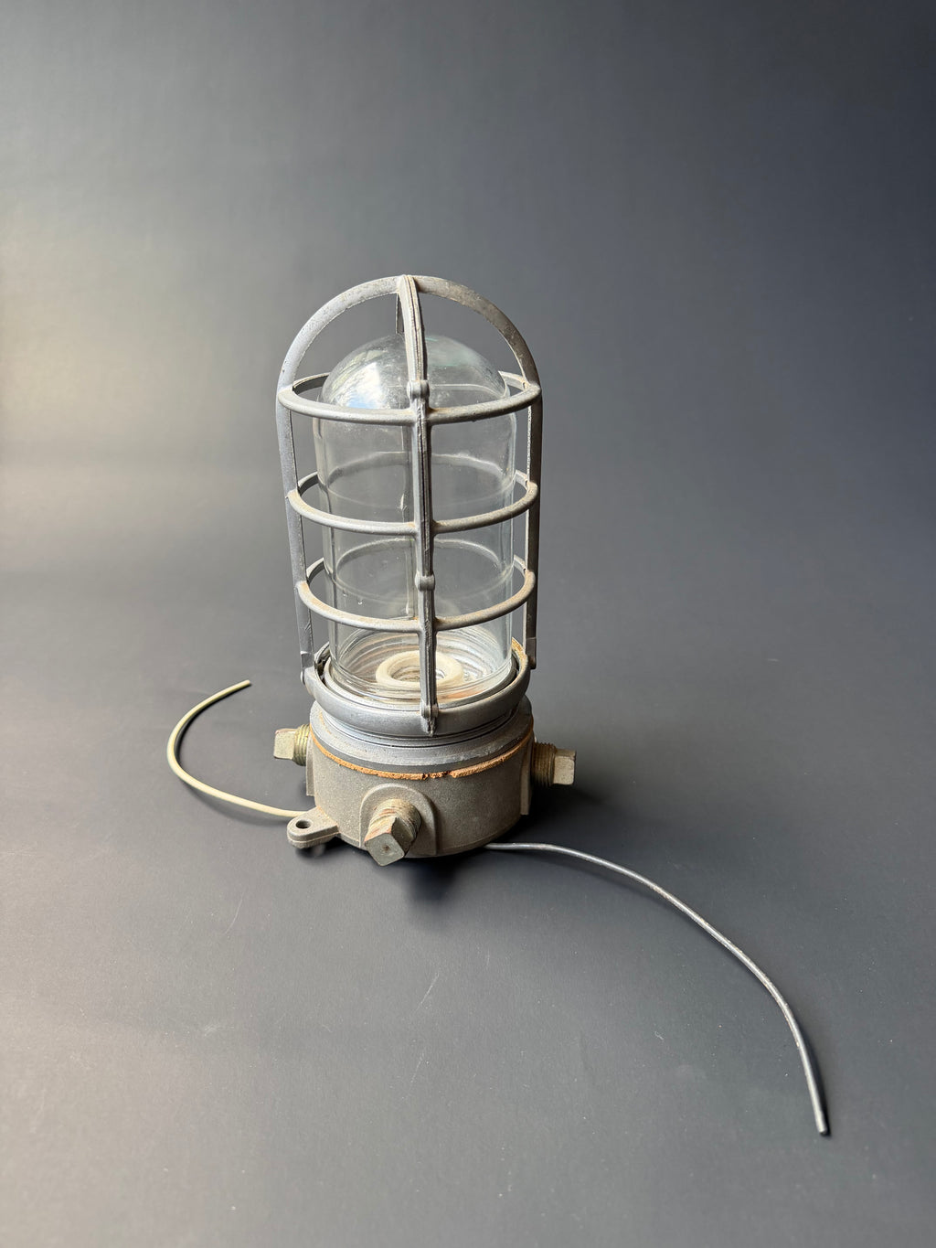 Industrial Cage Light