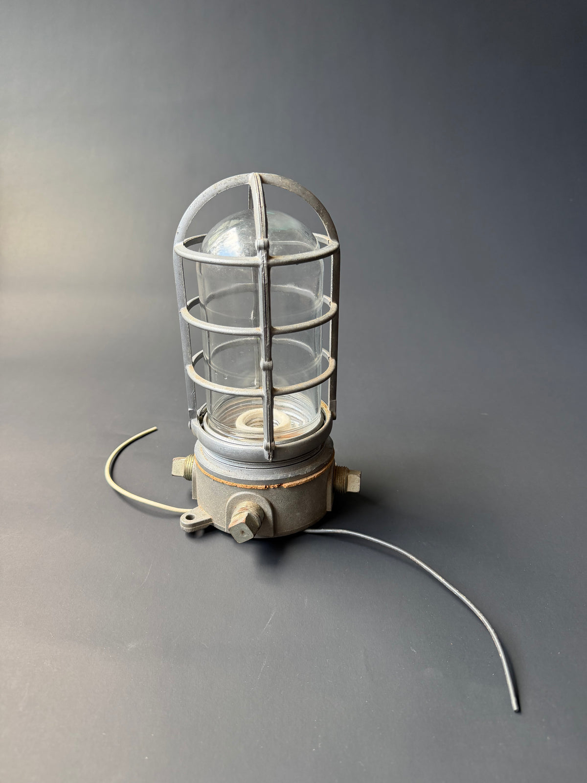 Industrial Cage Light