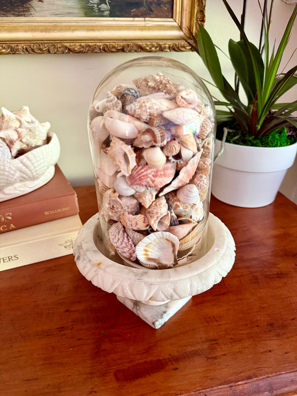 Birdbath Compote with Cloche and Shells