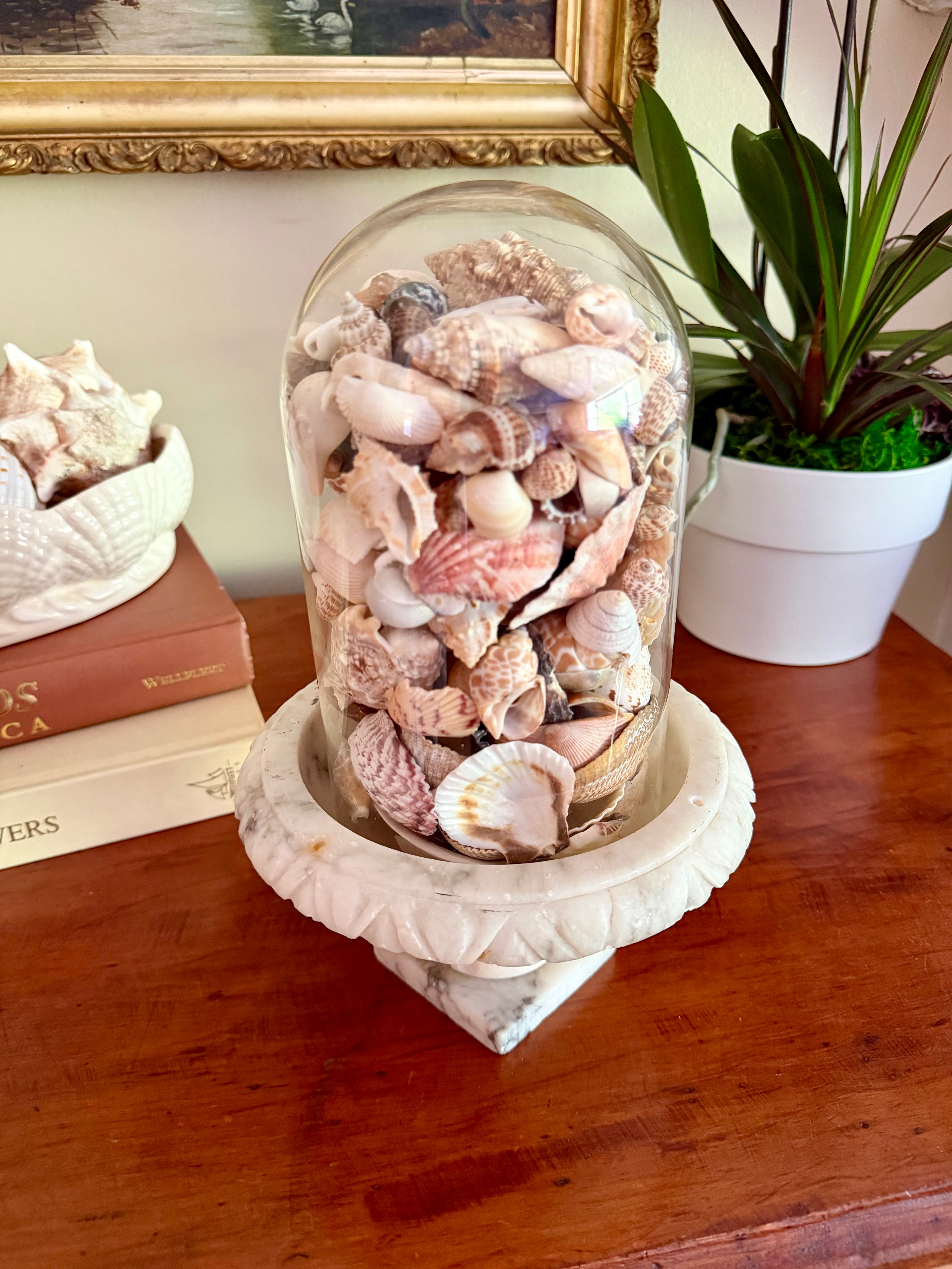 Birdbath Compote with Cloche and Shells