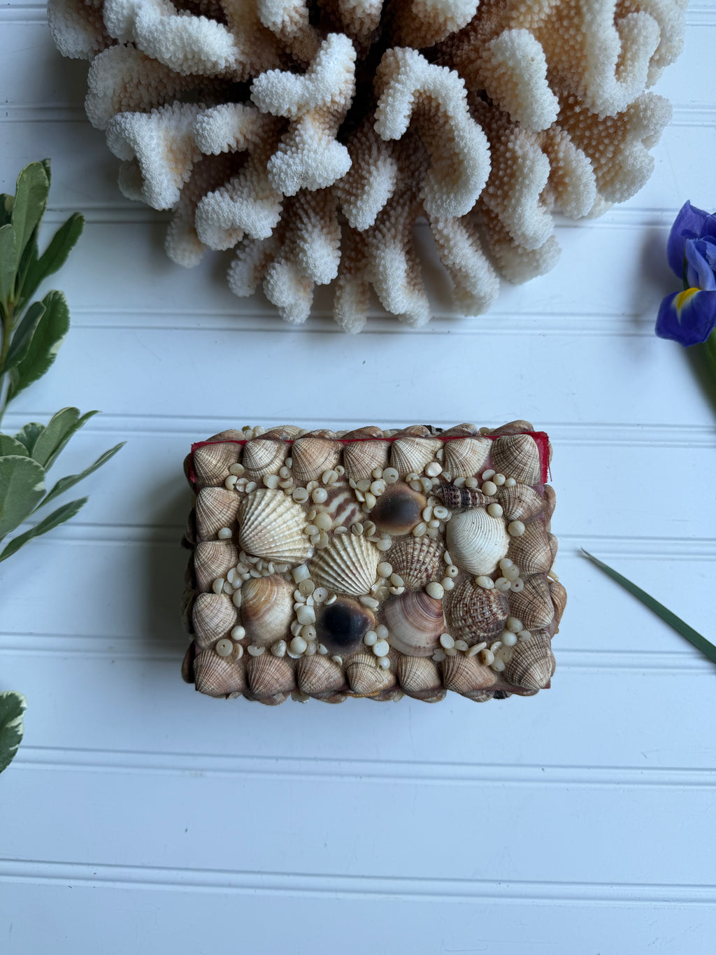 Small Vintage Shell Box