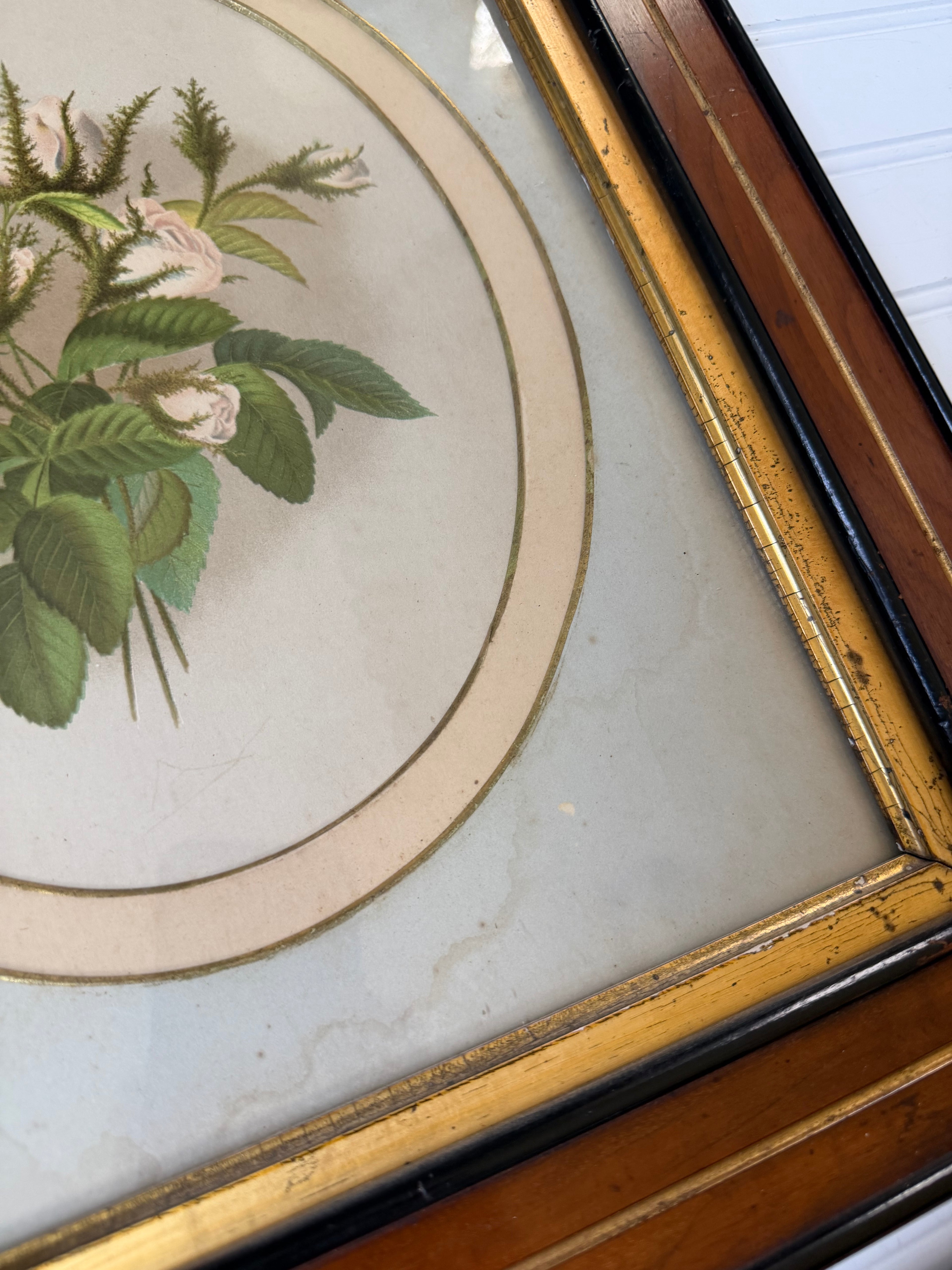Floral Art in Antique Wood Frames