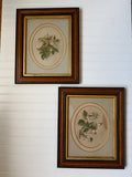 Floral Art in Antique Wood Frames