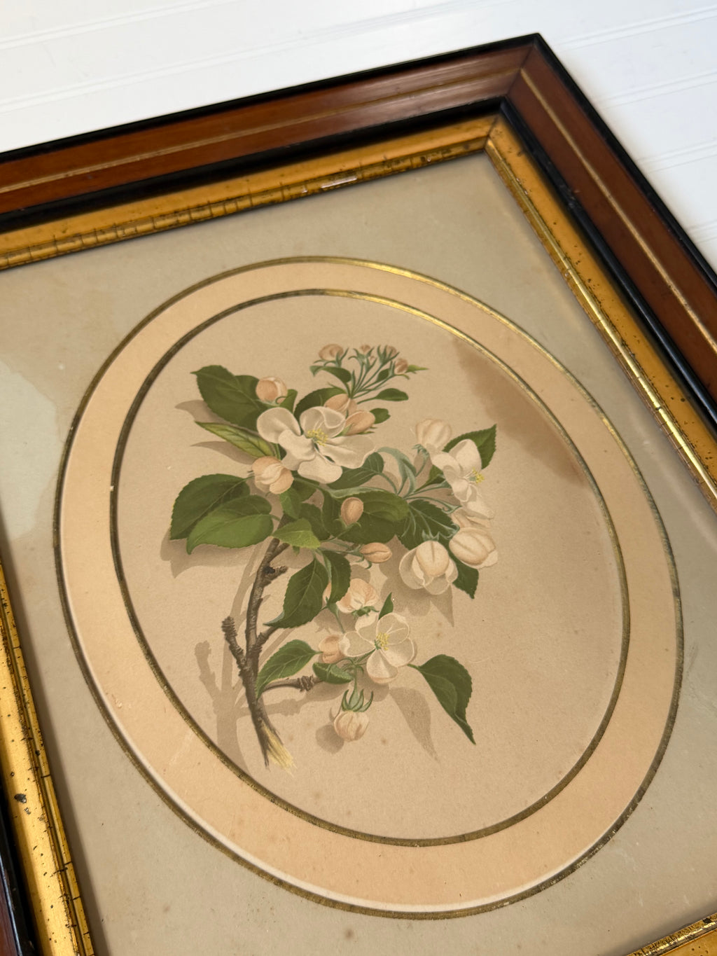 Floral Art in Antique Wood Frames