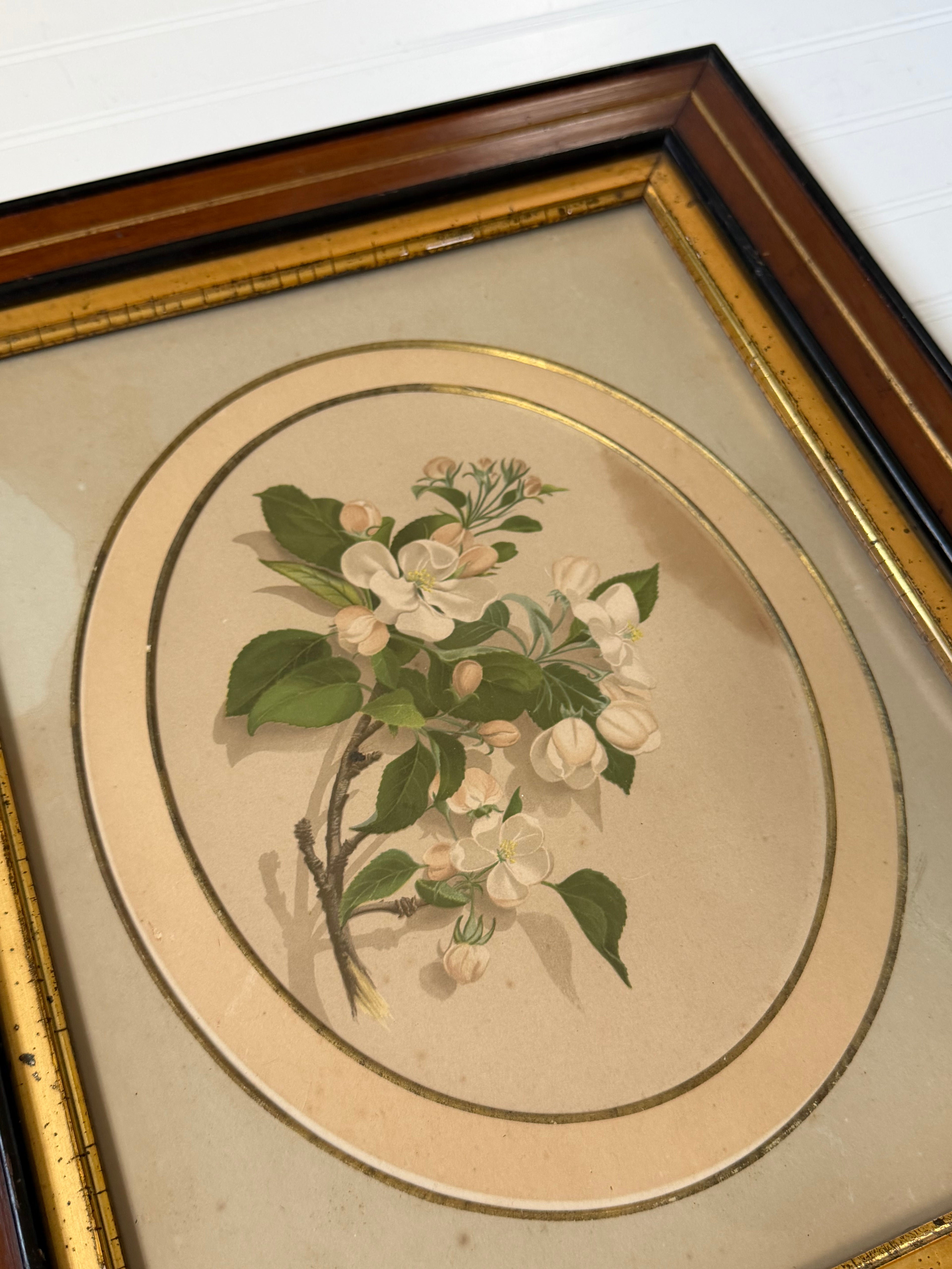 Floral Art in Antique Wood Frames