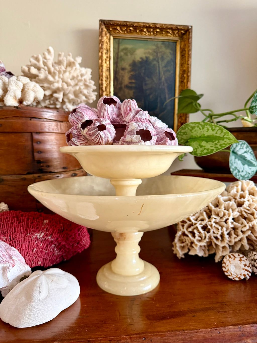 Alabaster Compote Bundle (set of 2)