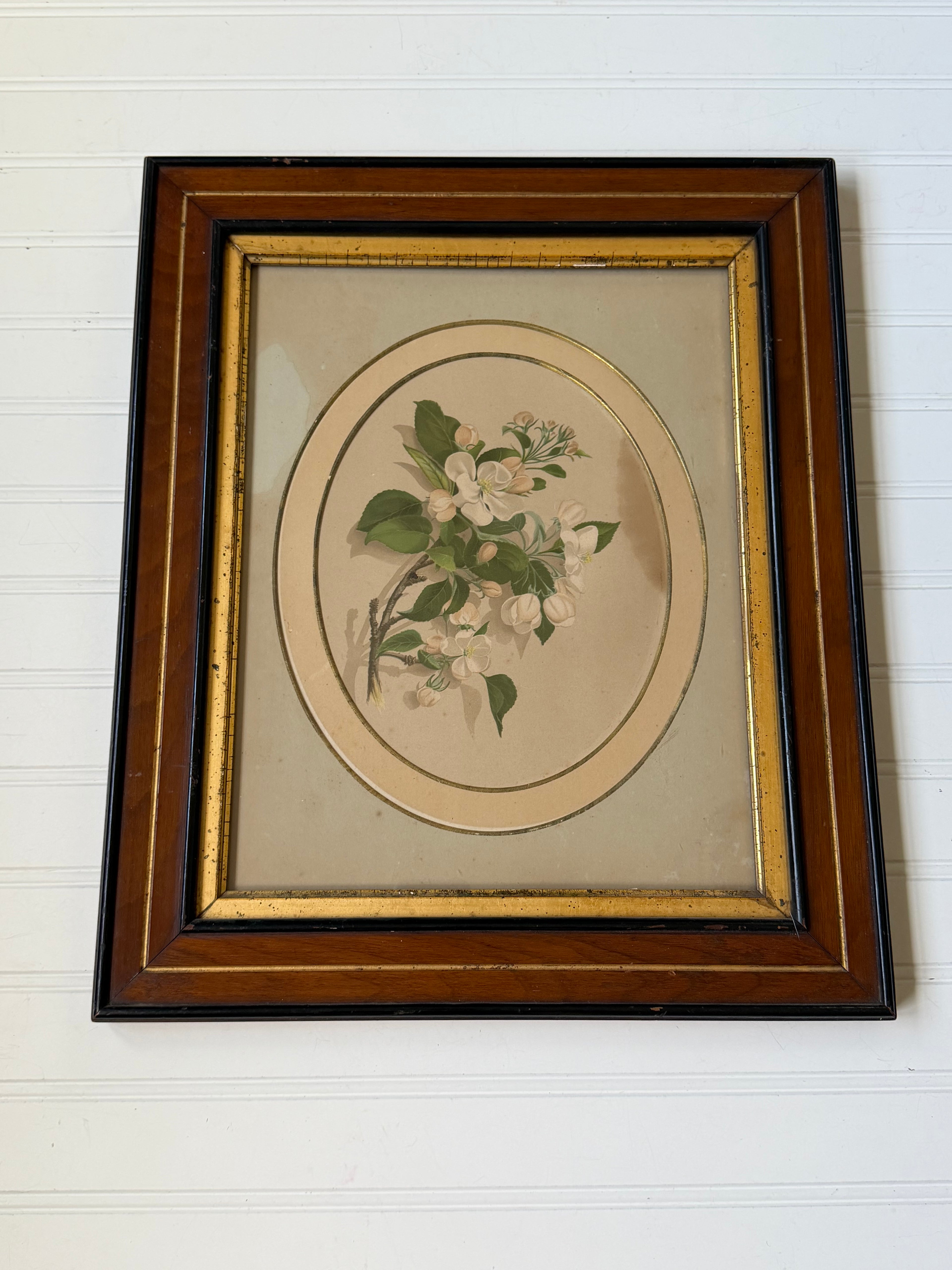 Floral Art in Antique Wood Frames