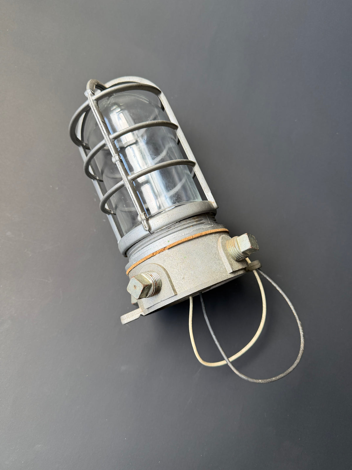 Industrial Cage Light