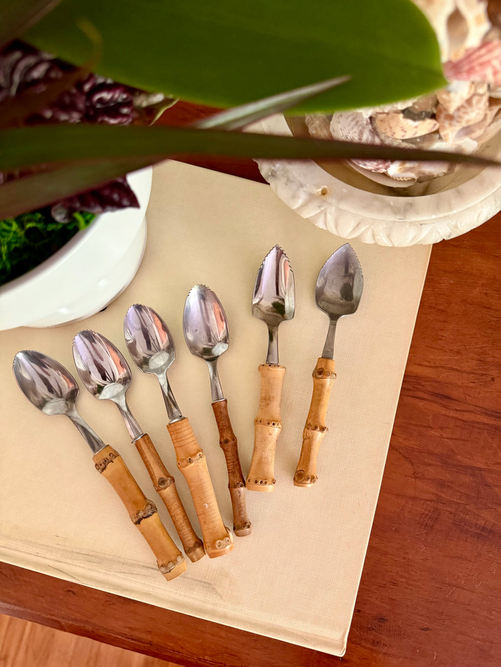 Bamboo Handle Spoons