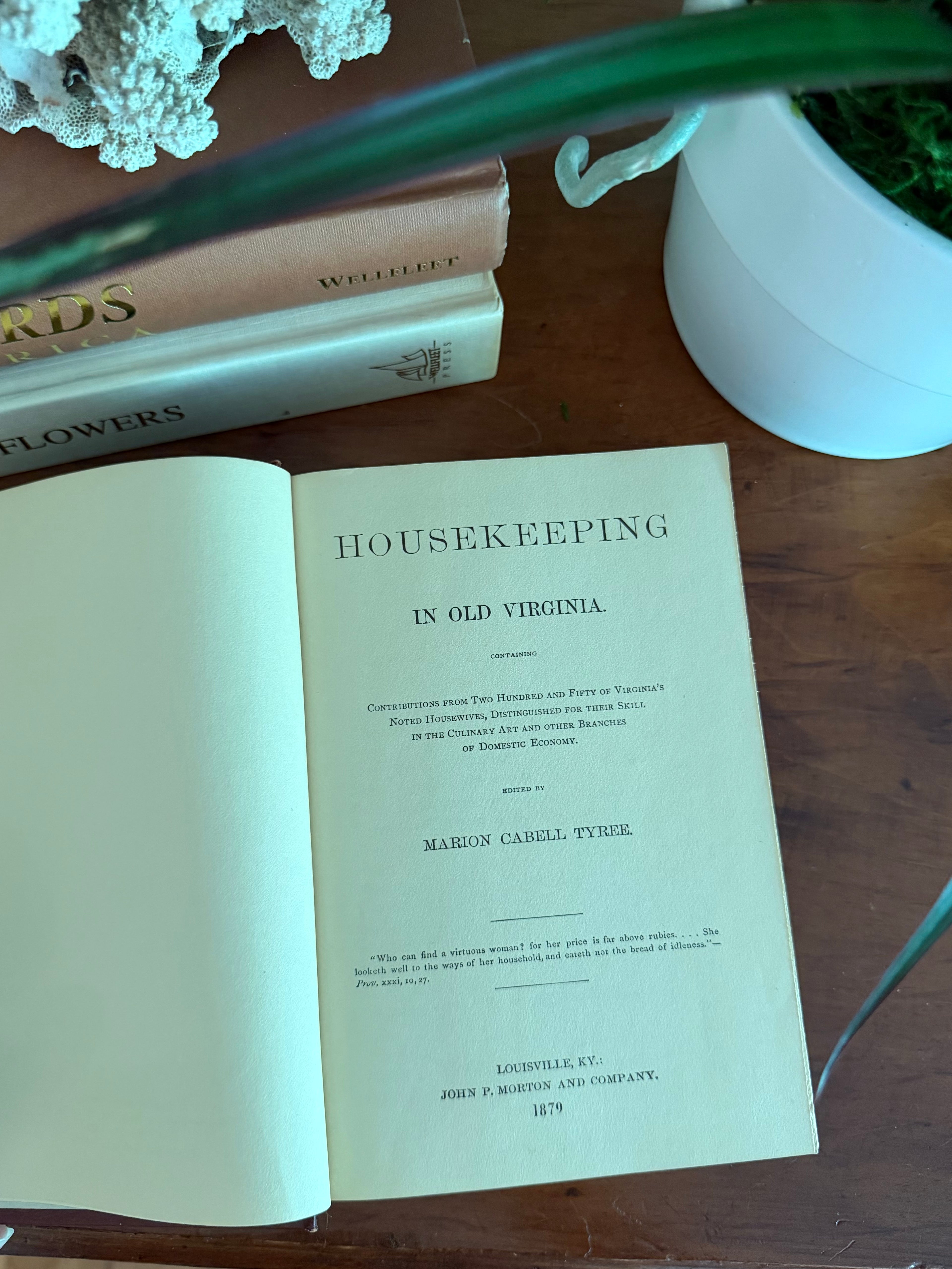 Antique Books: Housekeeping in Old Virginia (1879)