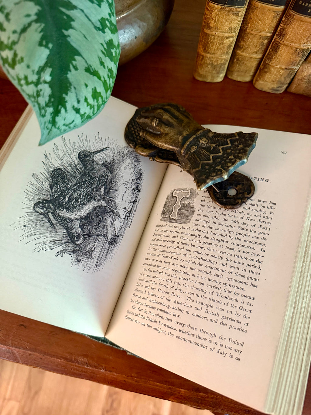 Antique Book: Frank Forest’s Field Sports (1873) Vol 1