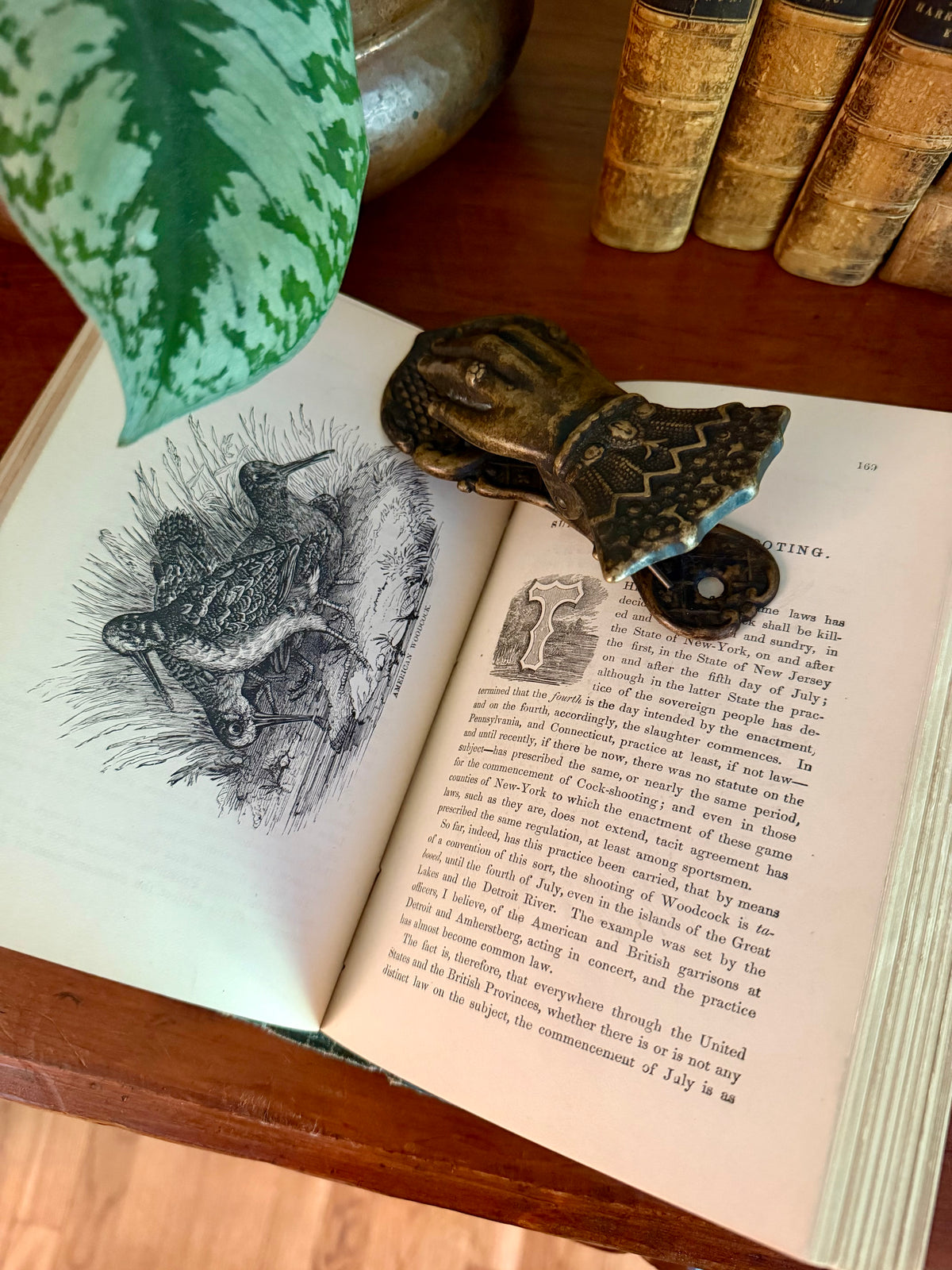 Antique Book: Frank Forest’s Field Sports (1873) Vol 1