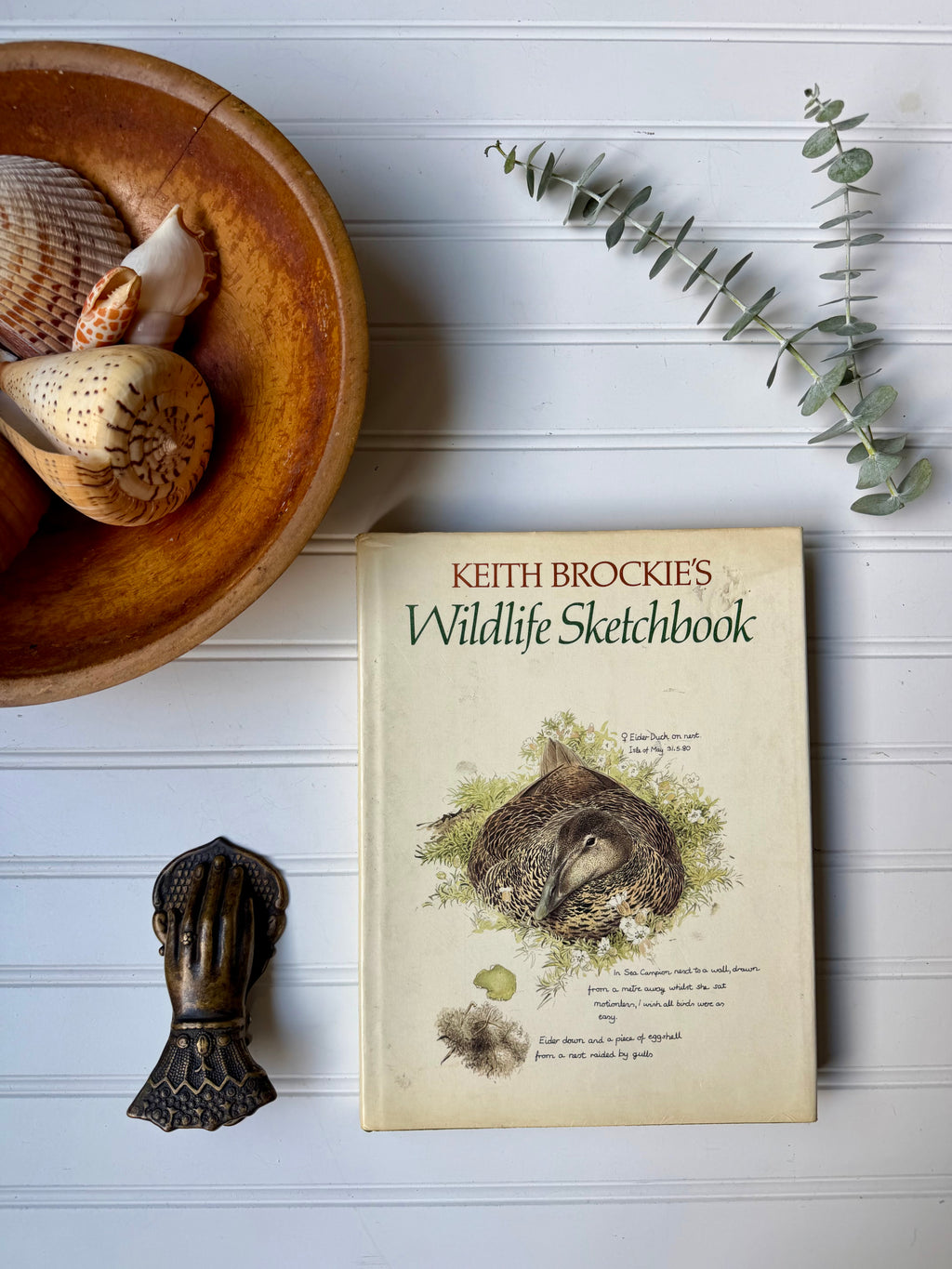 Vintage Book: Keith Brockie’s Wild Life Sketchbook (1981) First Edition