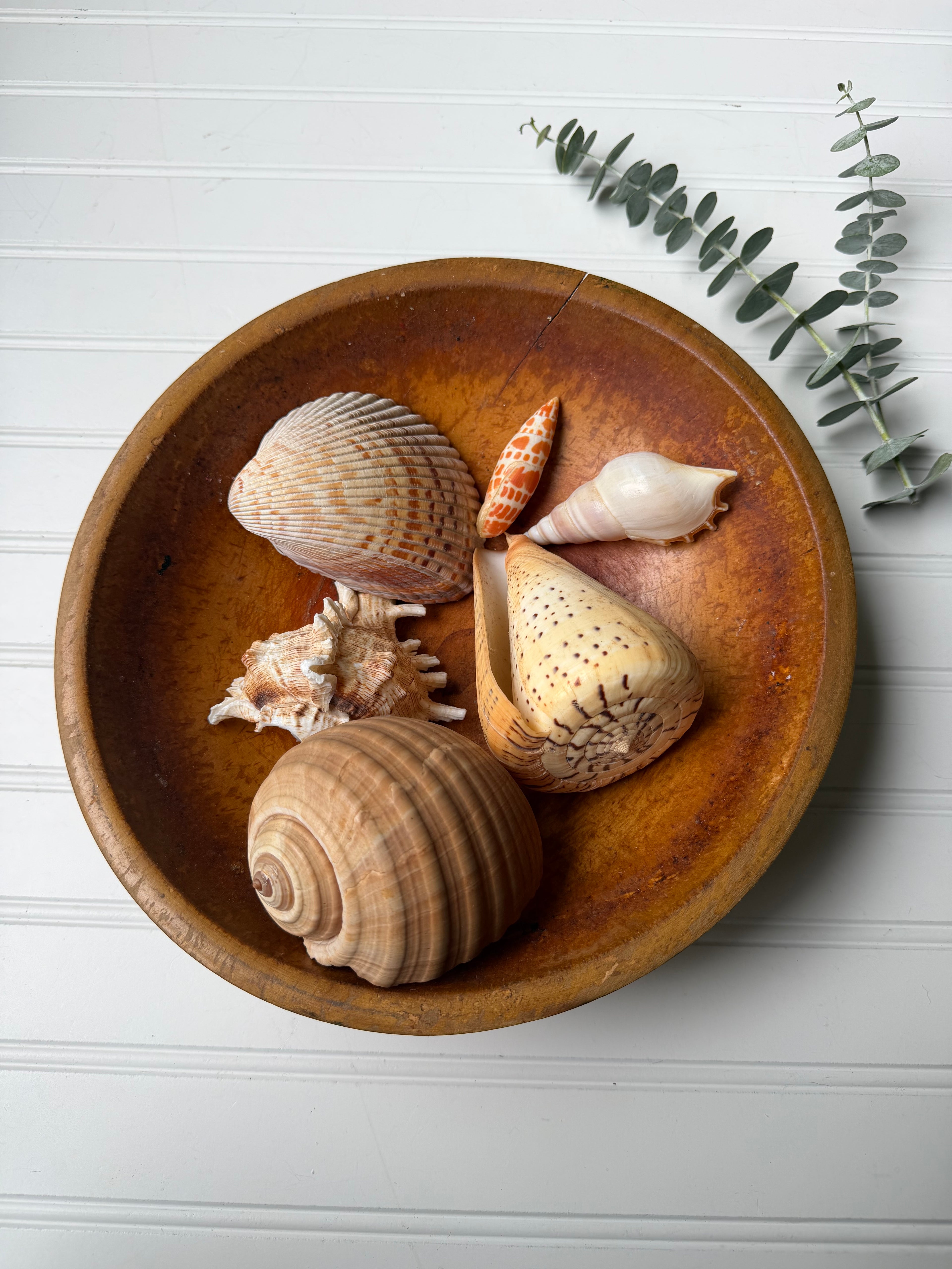 Signed Wooden Bowl