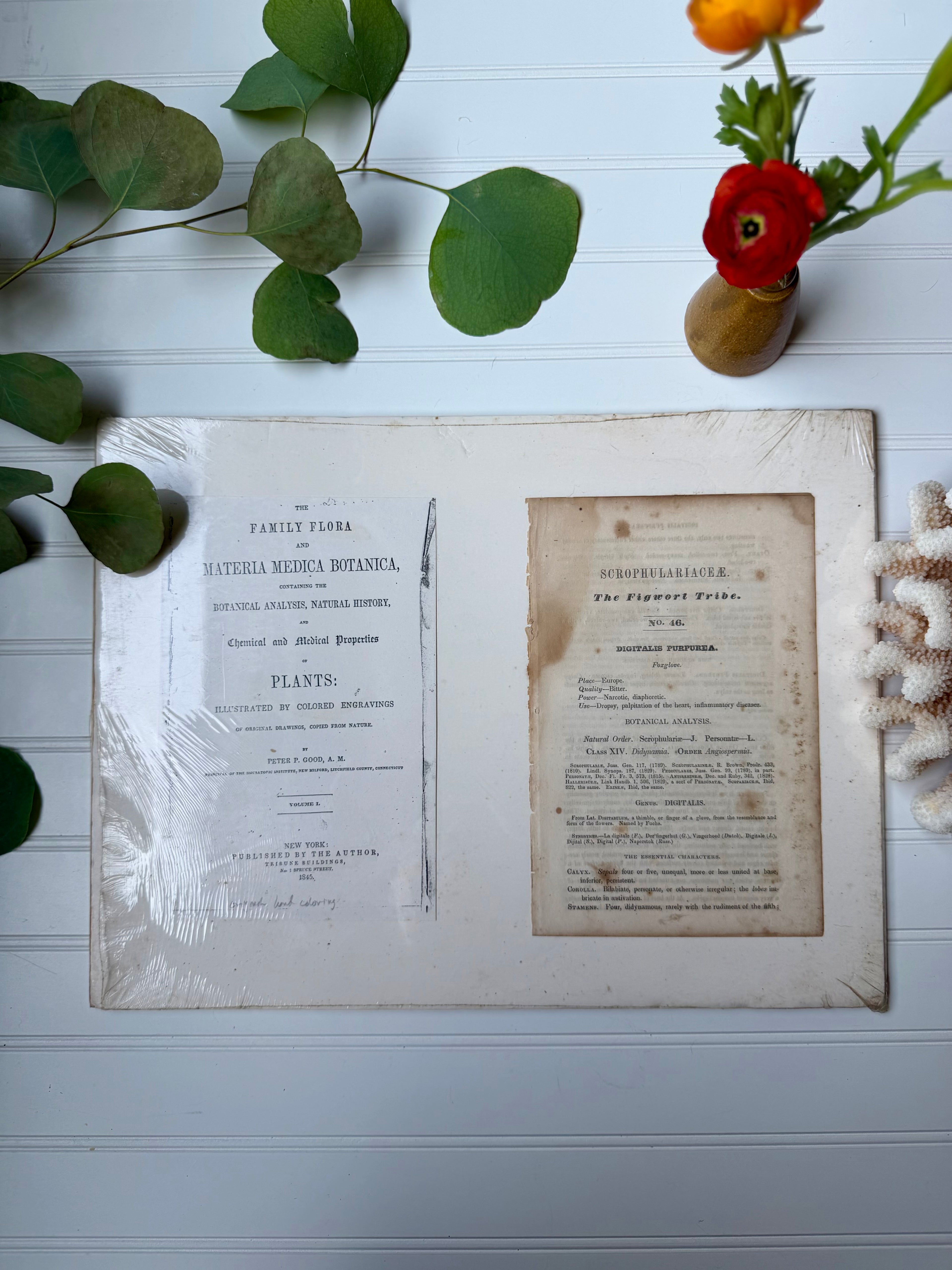 Antique Matted Floral Engraving