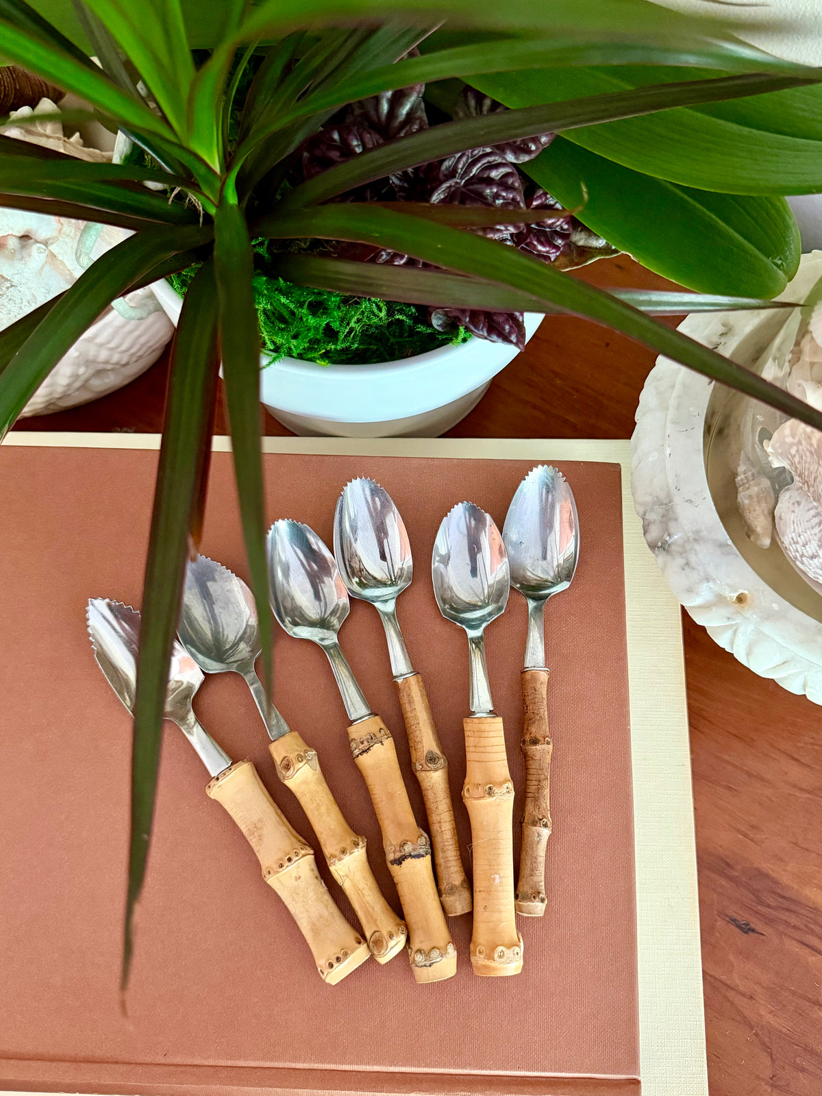 Bamboo Handle Spoons