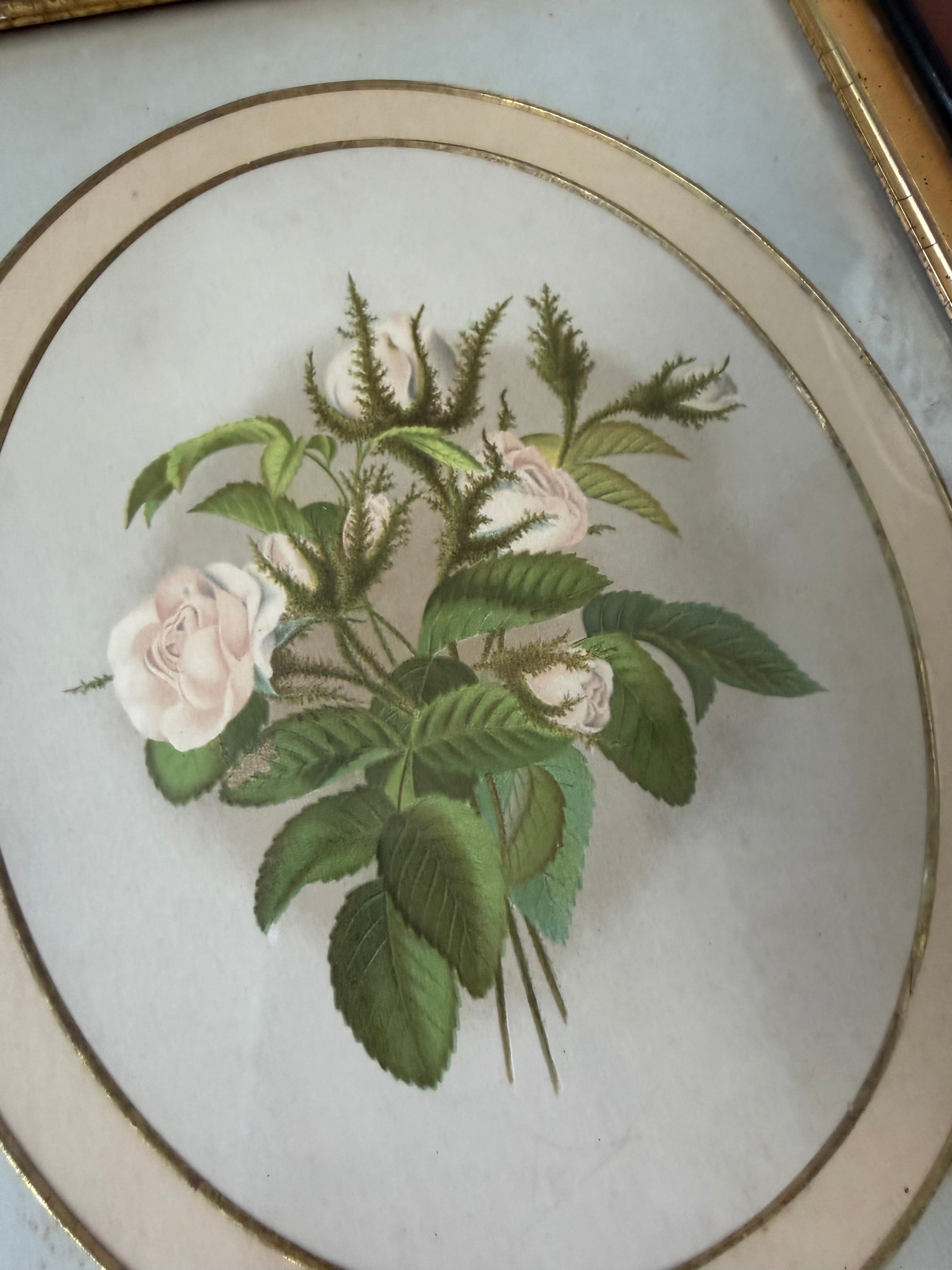 Floral Art in Antique Wood Frames