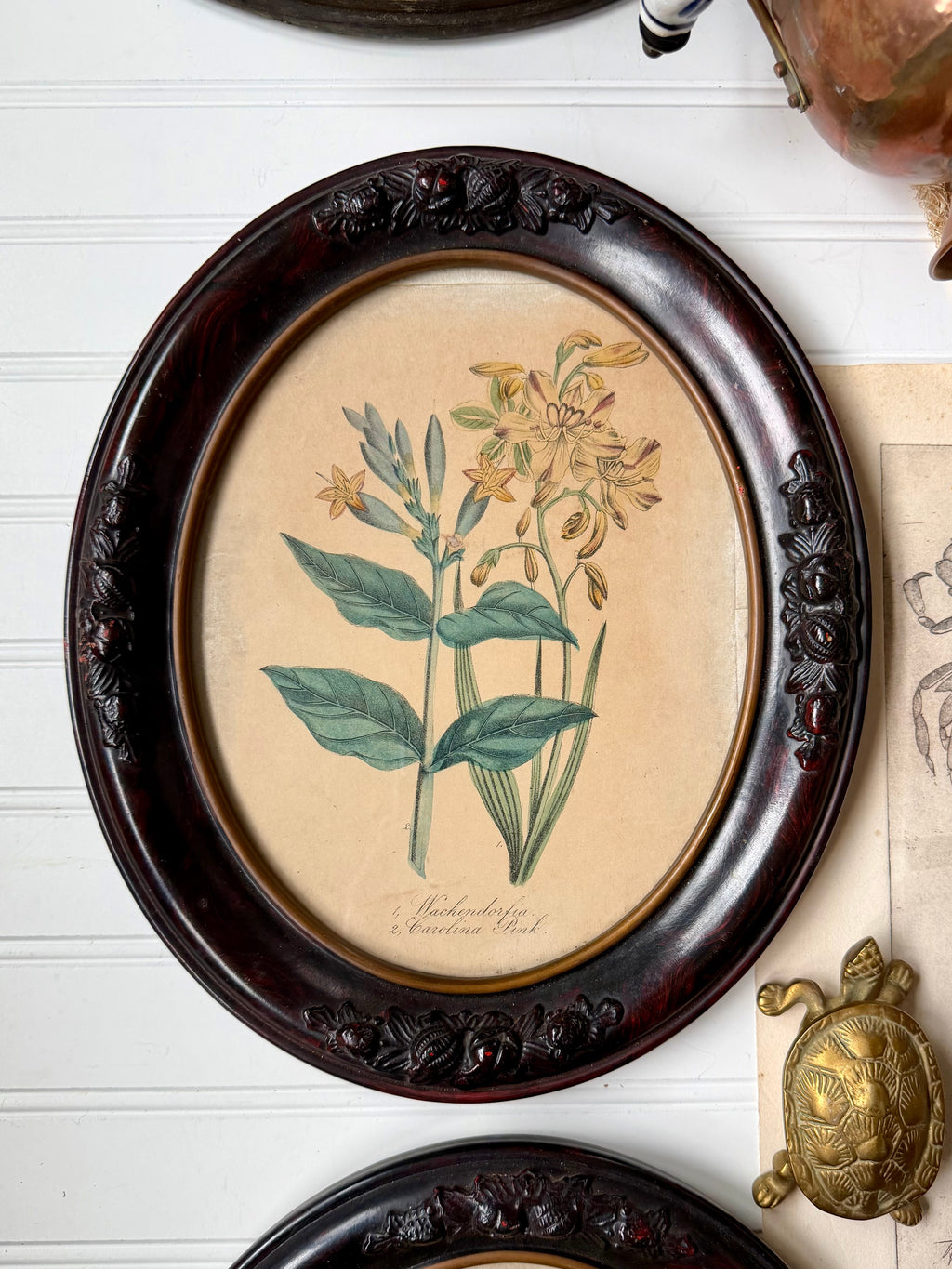 Set of 2 Antique Botanical Prints