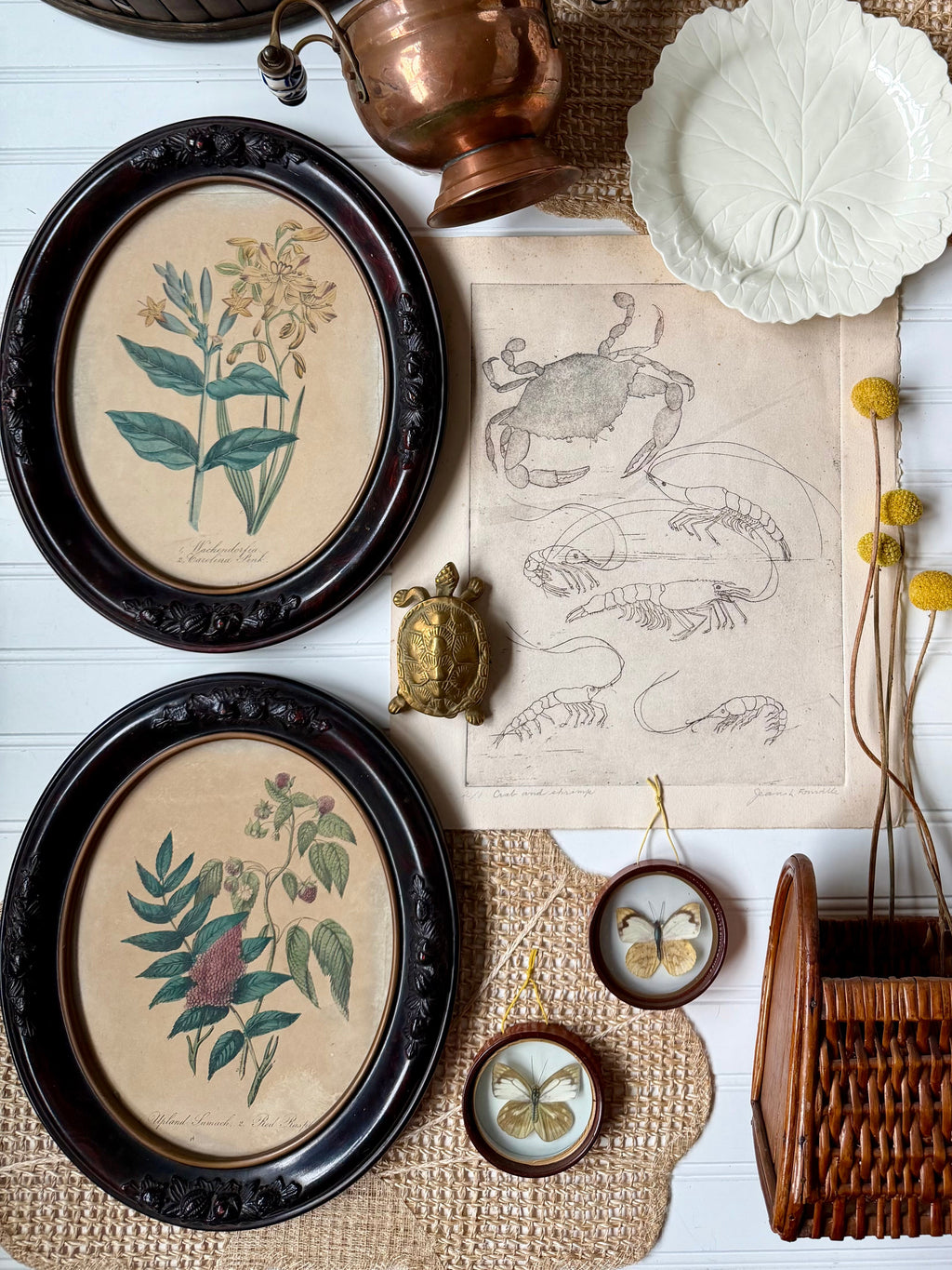 Set of 2 Antique Botanical Prints