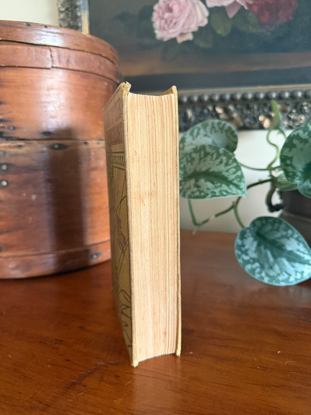 Antique Book: The Girl of the Limberlos