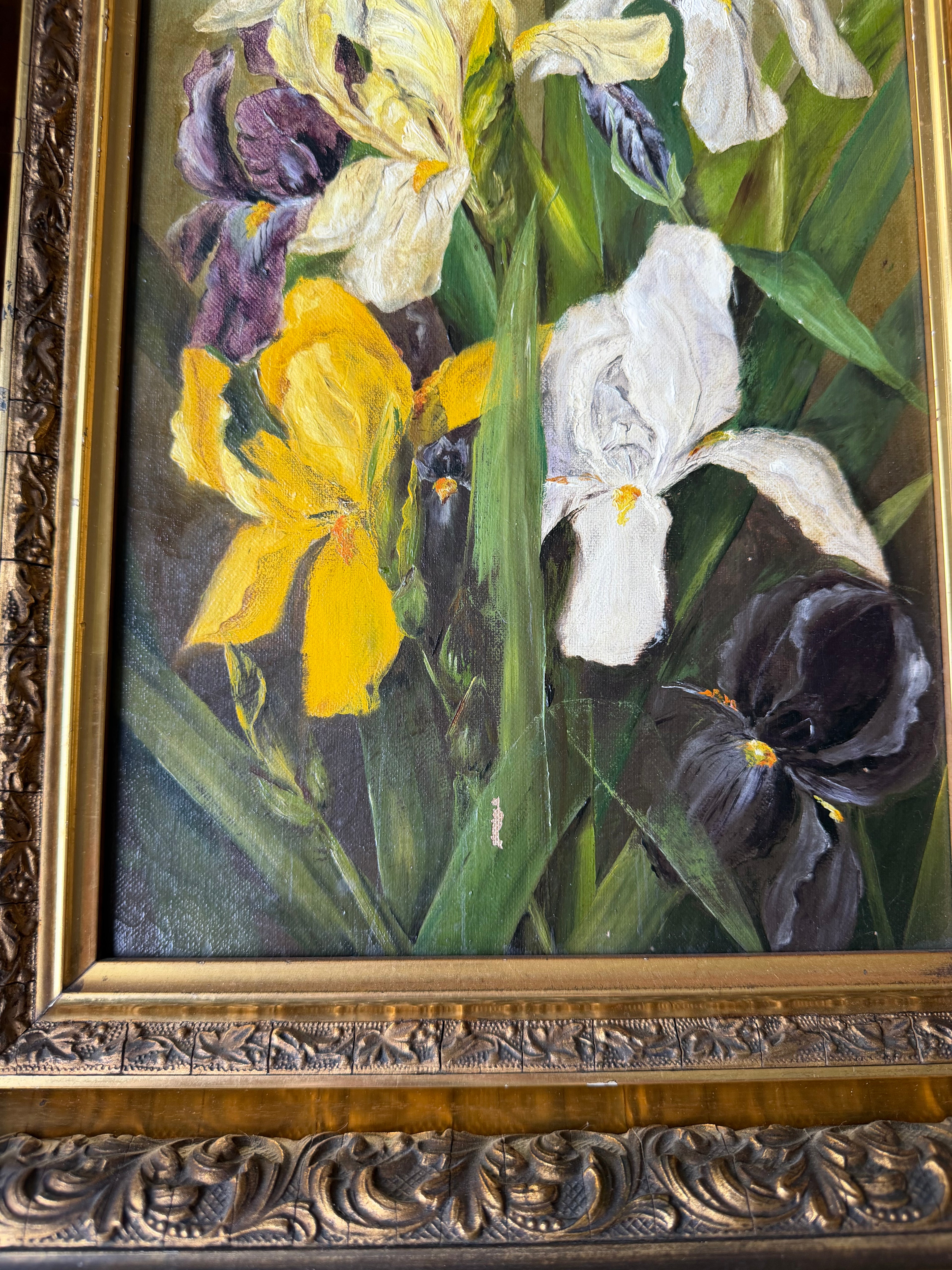 Antique Iris Oil on Canvas in Deep Guilt Frame