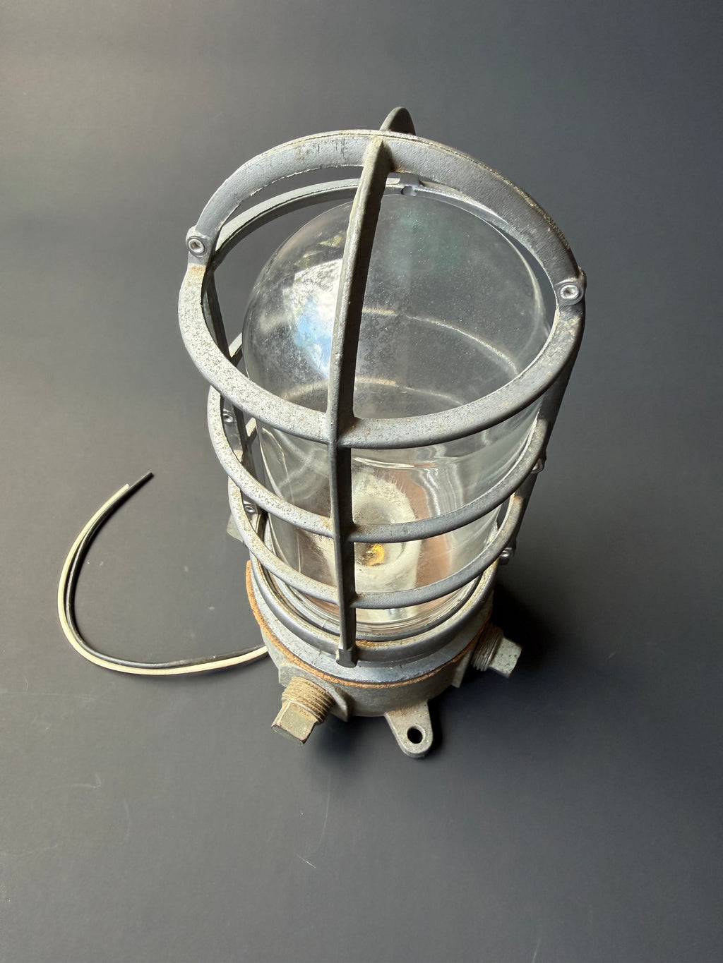 Industrial Cage Light