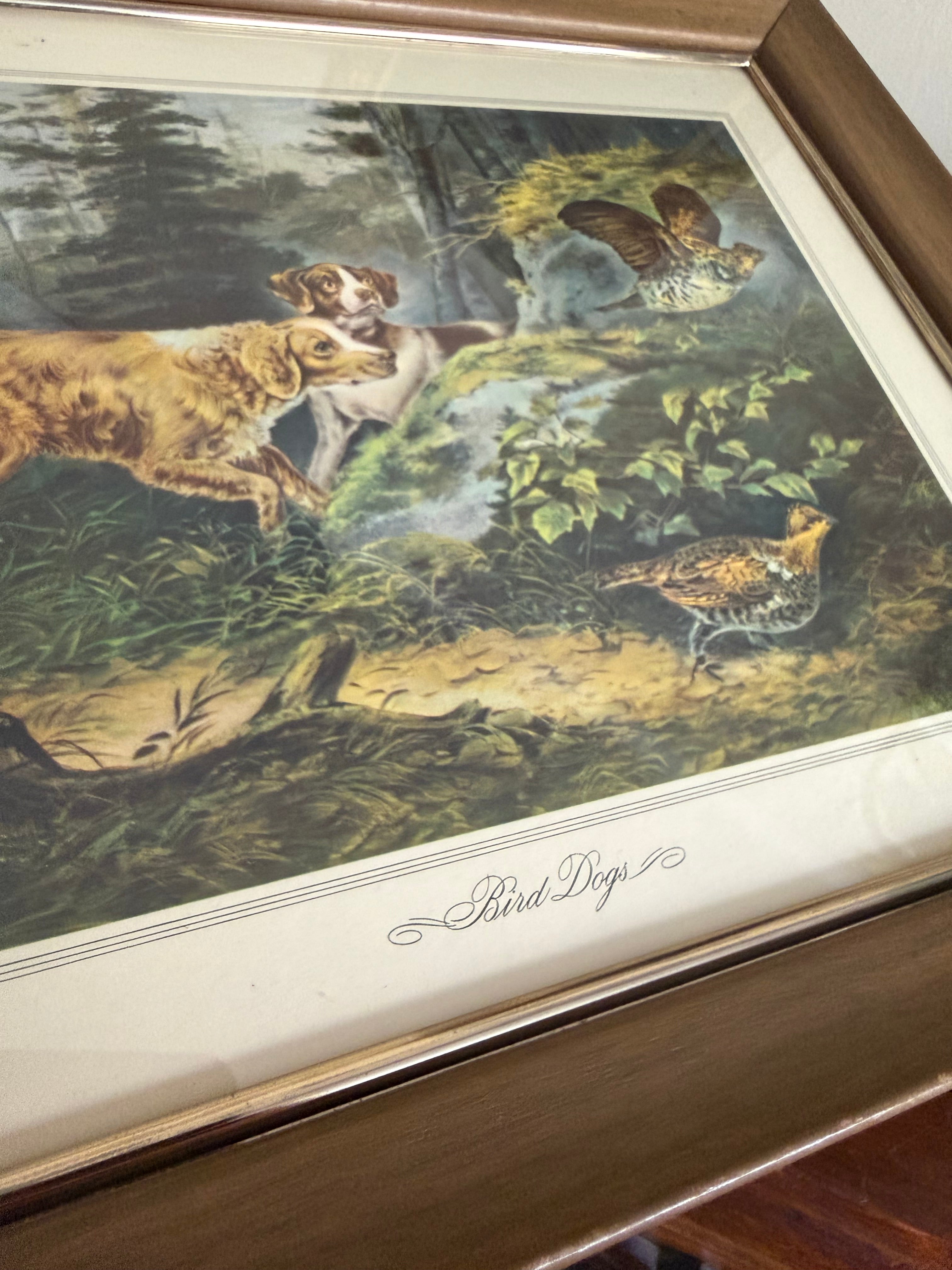 “Bird Dog” Framed Print
